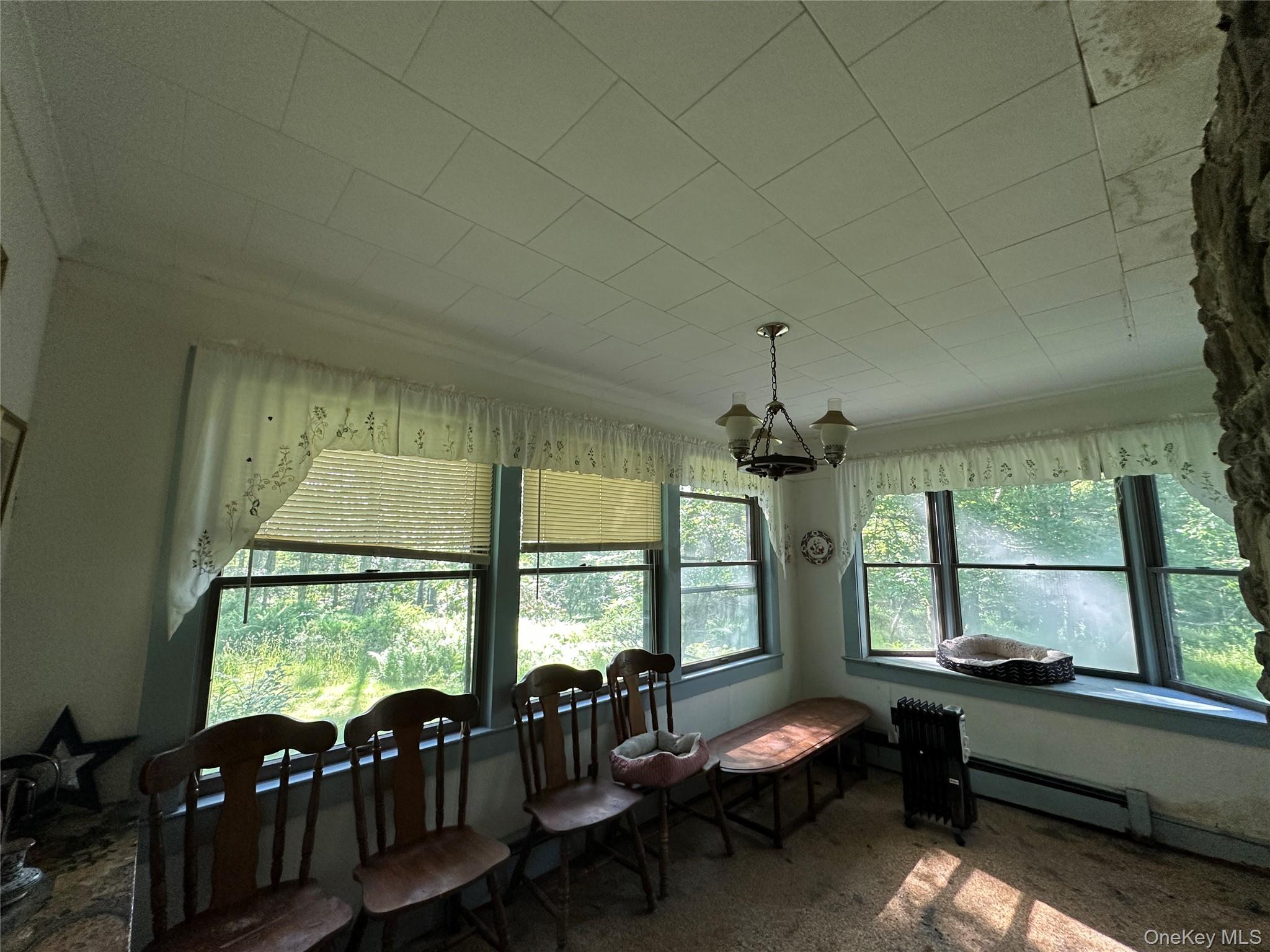 #17 photo, 954 Rt 23 Lumberland Mt Hope Road, 뉴욕주 Narrowsburg , NY 12764