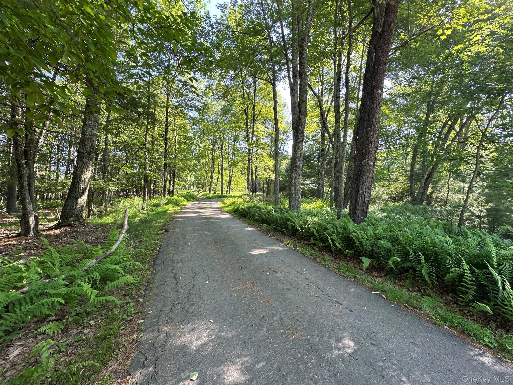 #3 photo, 954 Rt 23 Lumberland Mt Hope Road, 뉴욕주 Narrowsburg , NY 12764