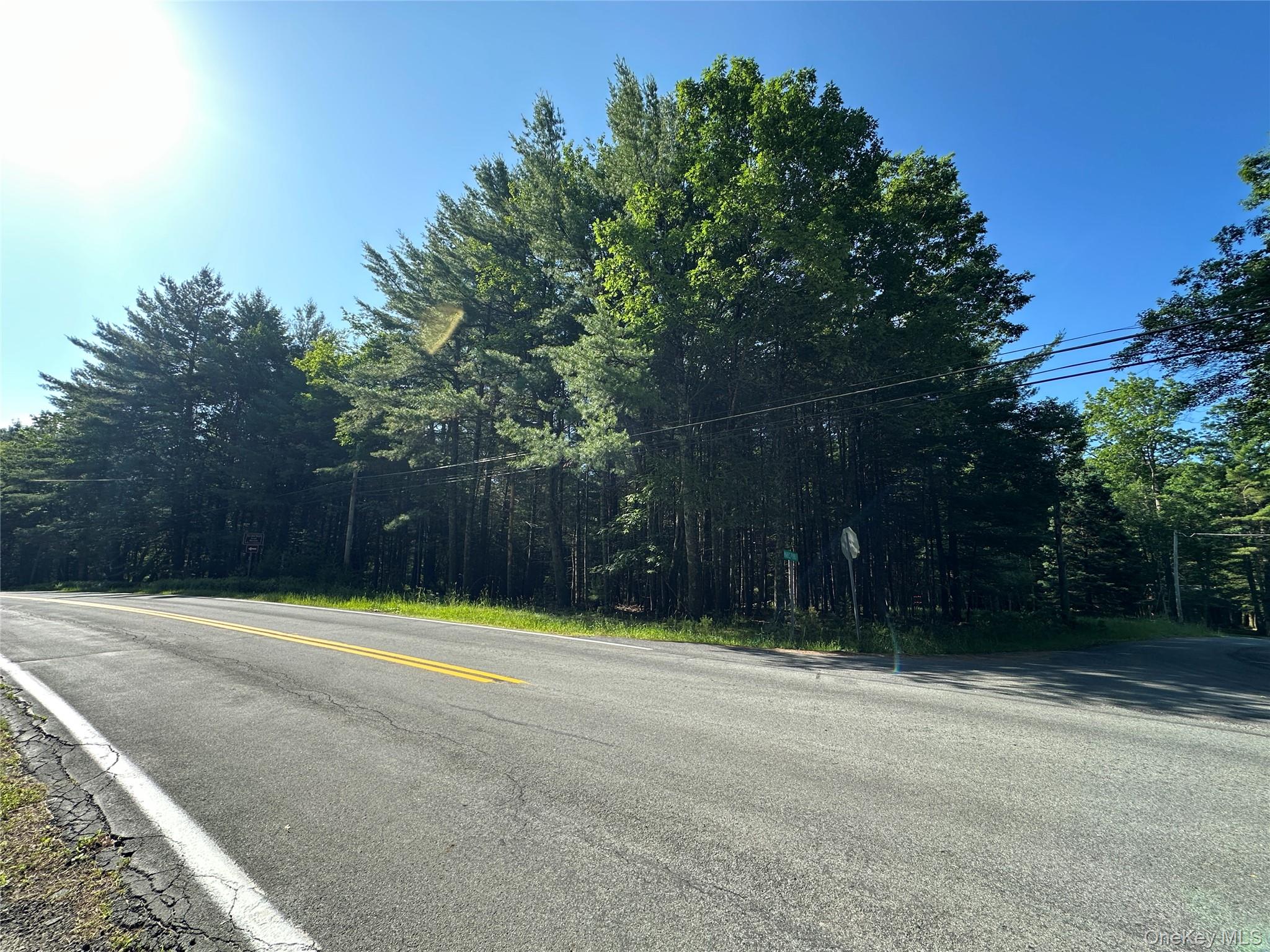 #4 photo, 954 Rt 23 Lumberland Mt Hope Road, 뉴욕주 Narrowsburg , NY 12764