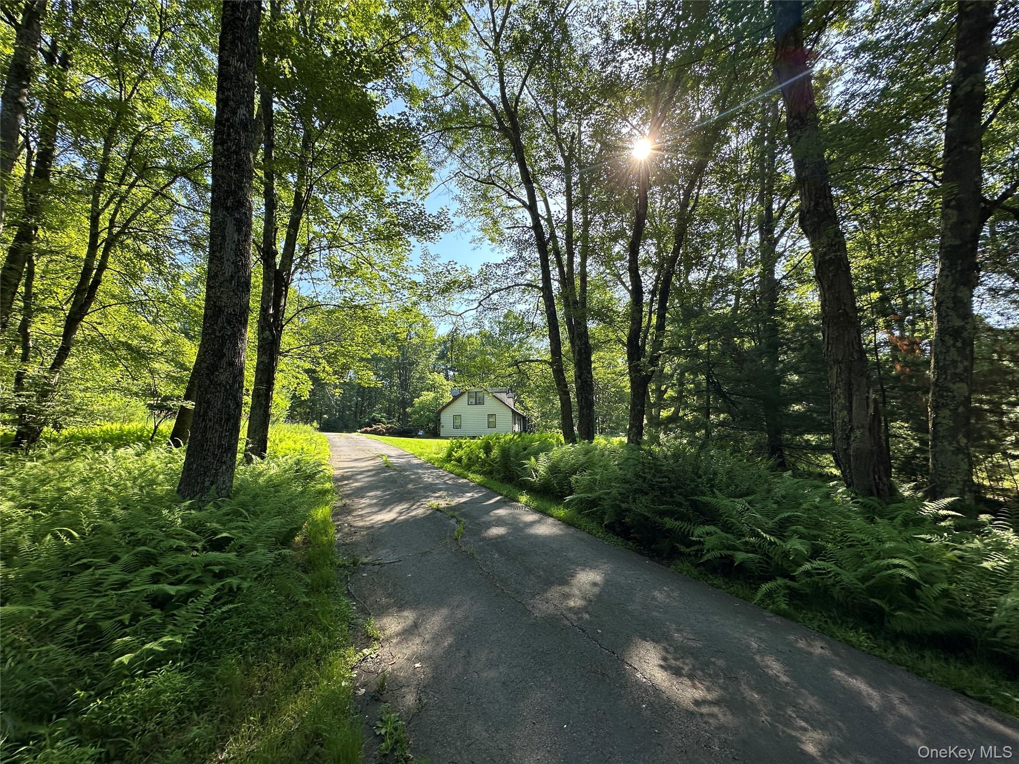 #5 photo, 954 Rt 23 Lumberland Mt Hope Road, 뉴욕주 Narrowsburg , NY 12764