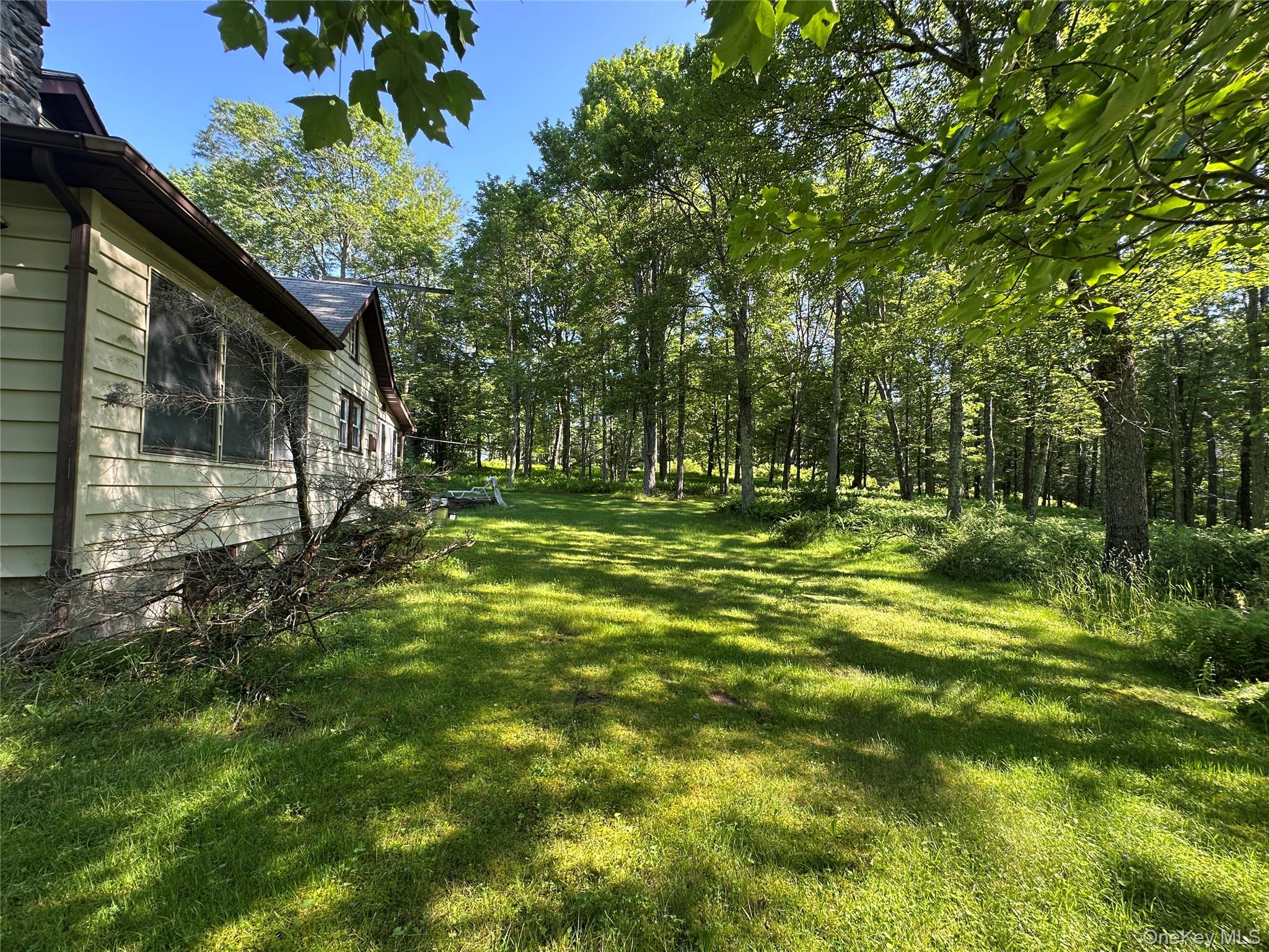 #8 photo, 954 Rt 23 Lumberland Mt Hope Road, 뉴욕주 Narrowsburg , NY 12764