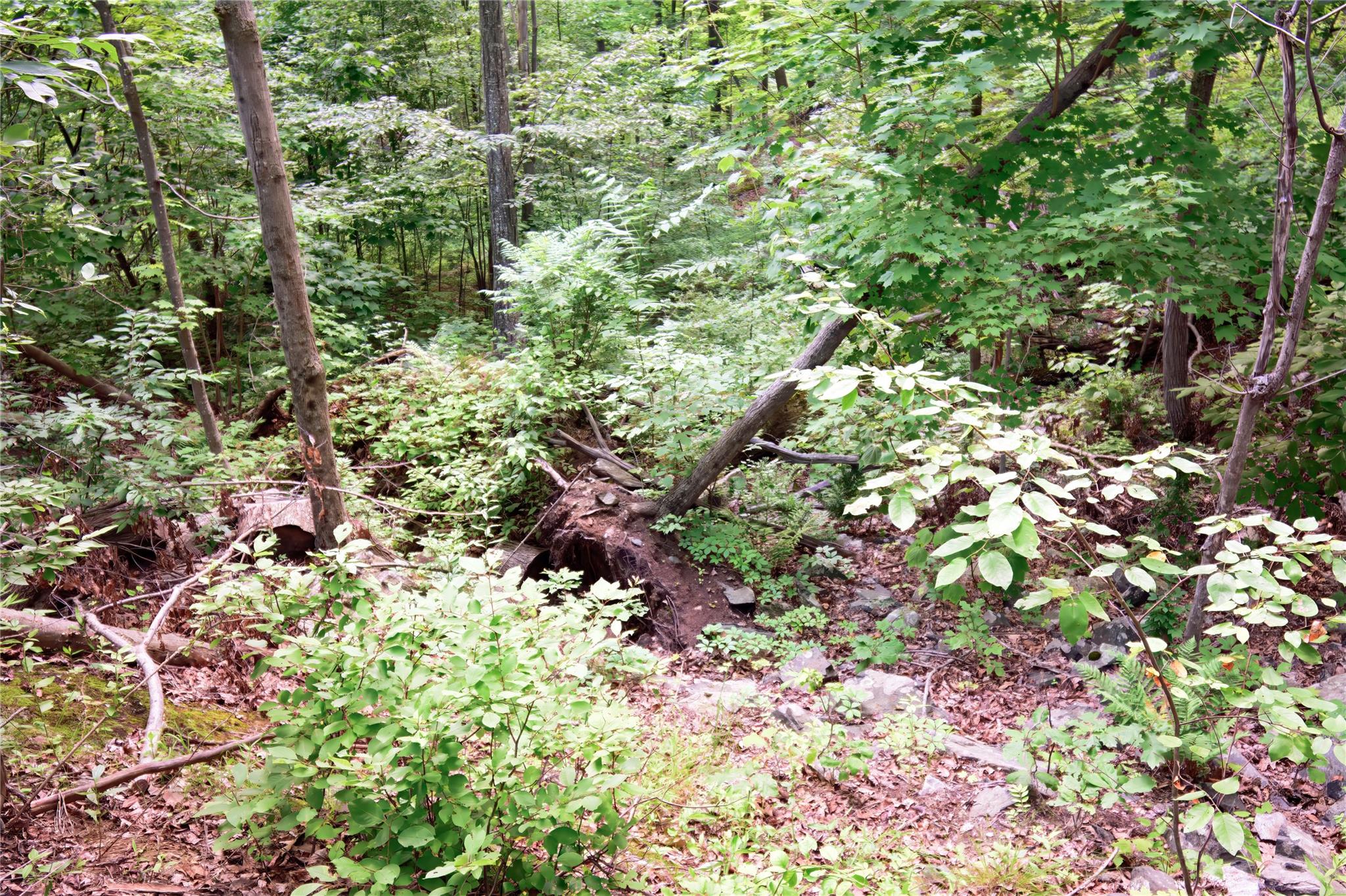 #11 photo, 727 Farmers Mills Road, Carmel , NY 10512