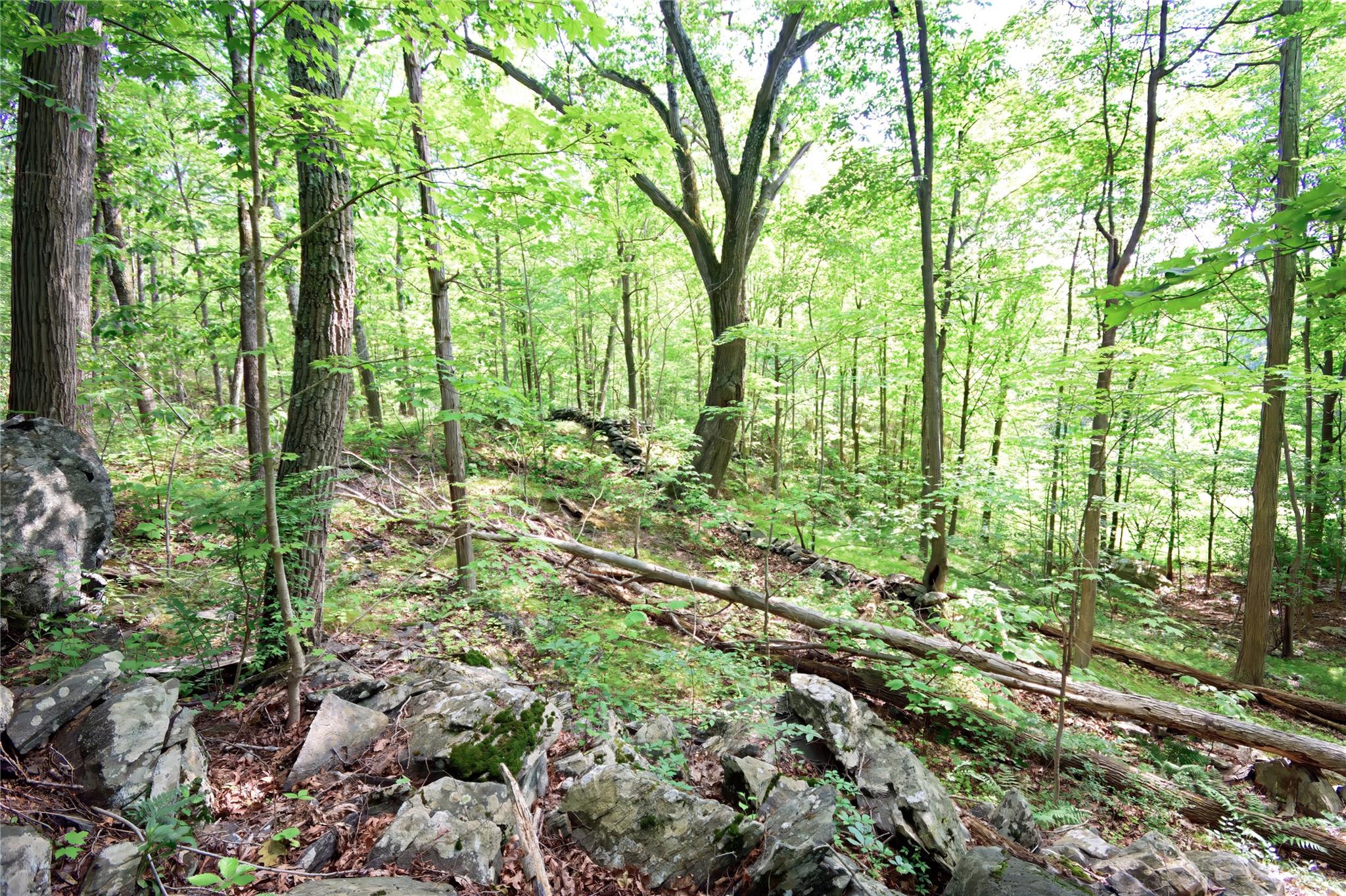 #15 photo, 727 Farmers Mills Road, Carmel , NY 10512