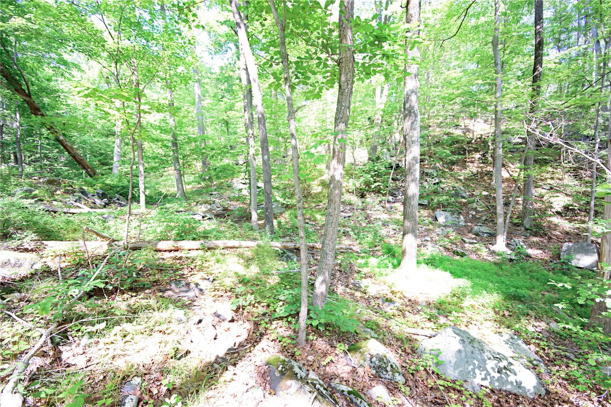 #16 photo, 727 Farmers Mills Road, Carmel , NY 10512