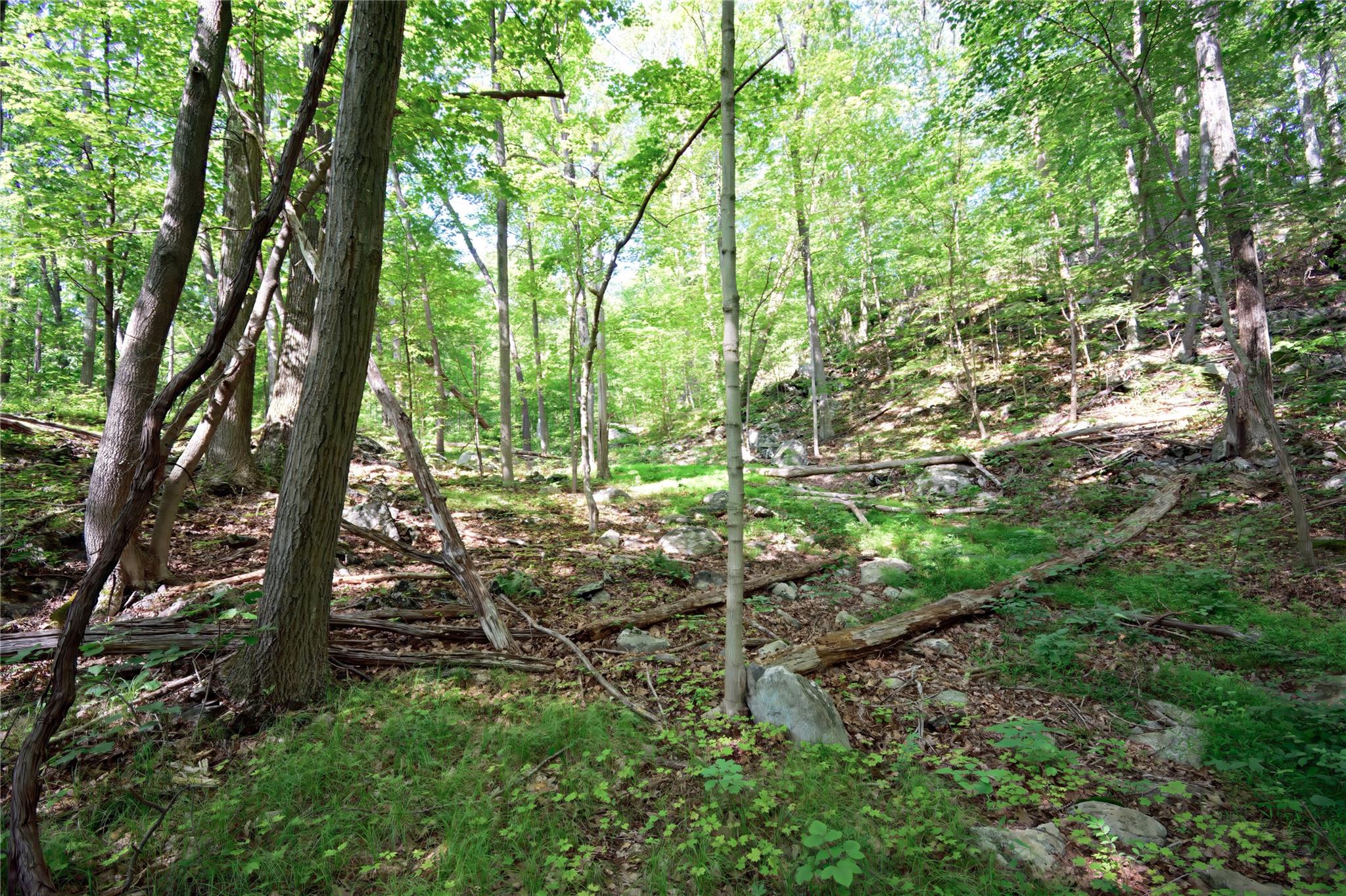 #17 photo, 727 Farmers Mills Road, Carmel , NY 10512