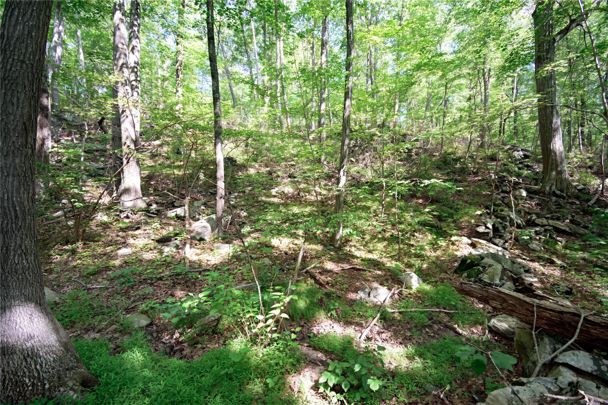 #18 photo, 727 Farmers Mills Road, Carmel , NY 10512