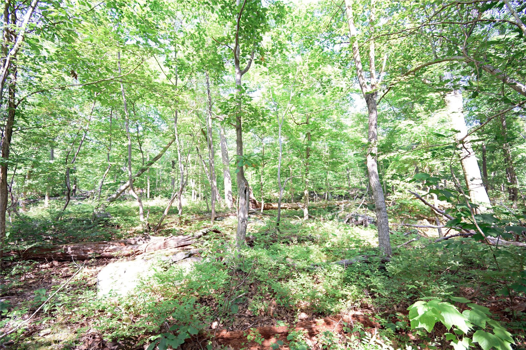 #19 photo, 727 Farmers Mills Road, Carmel , NY 10512