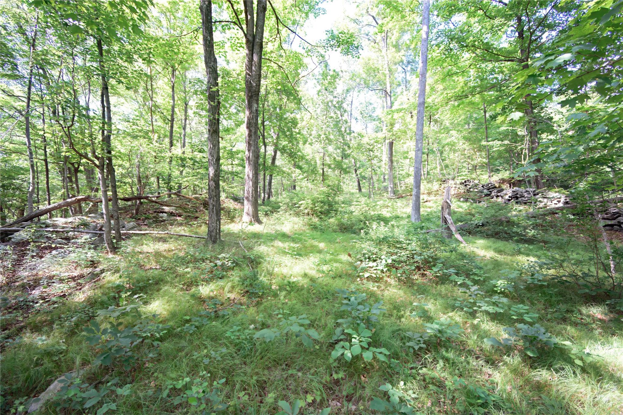 #20 photo, 727 Farmers Mills Road, Carmel , NY 10512