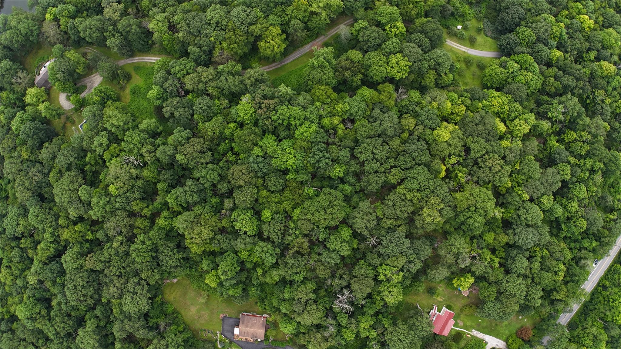 #9 photo, 727 Farmers Mills Road, Carmel , NY 10512