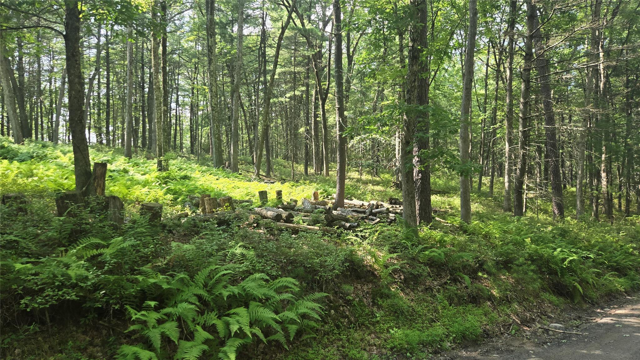 #4 photo, 46 ozierany, Glen Spey , NY 12737