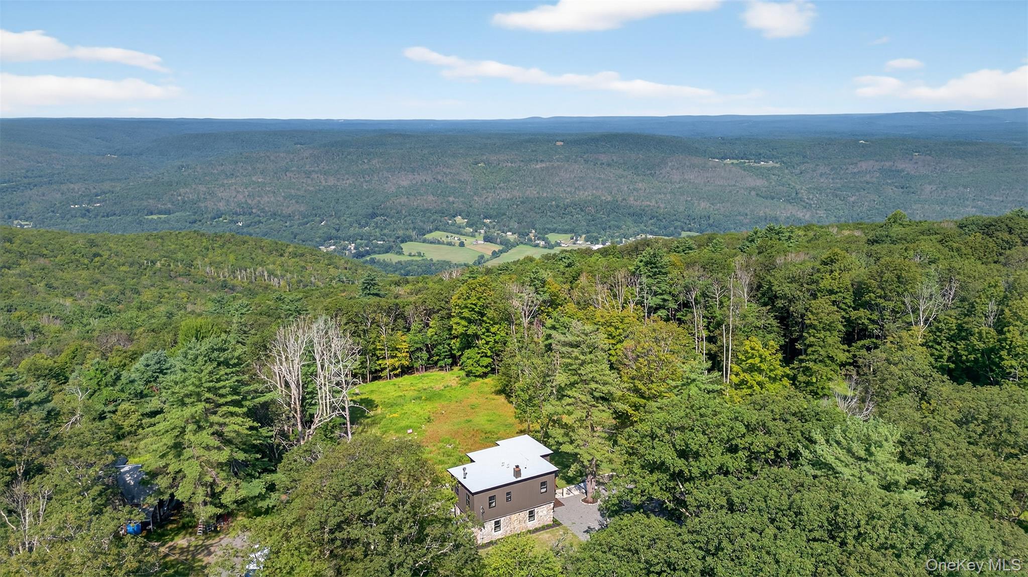 #4 photo, 115 Schuyler Avenue, Cragsmoor , NY 12420