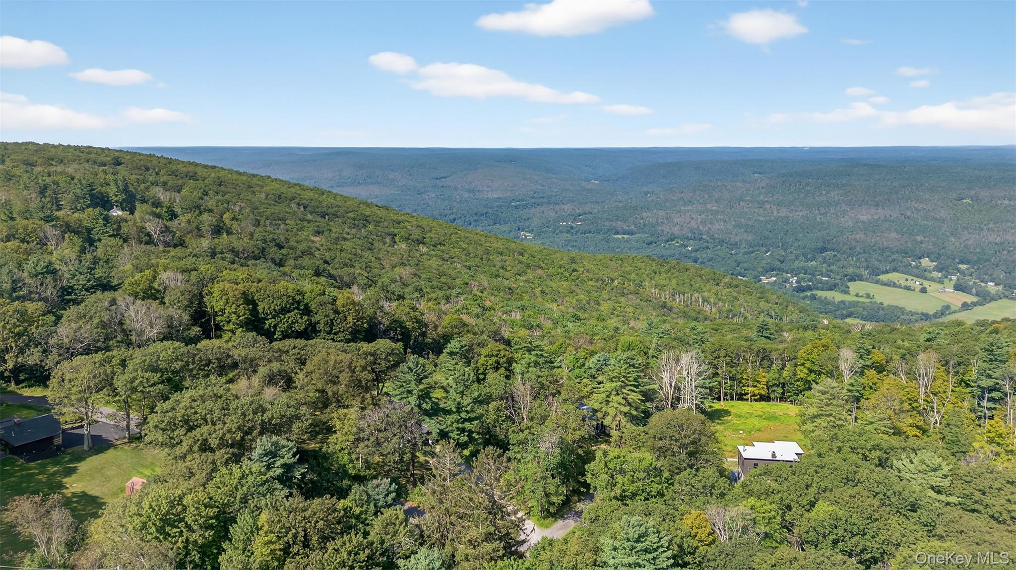 #5 photo, 115 Schuyler Avenue, Cragsmoor , NY 12420