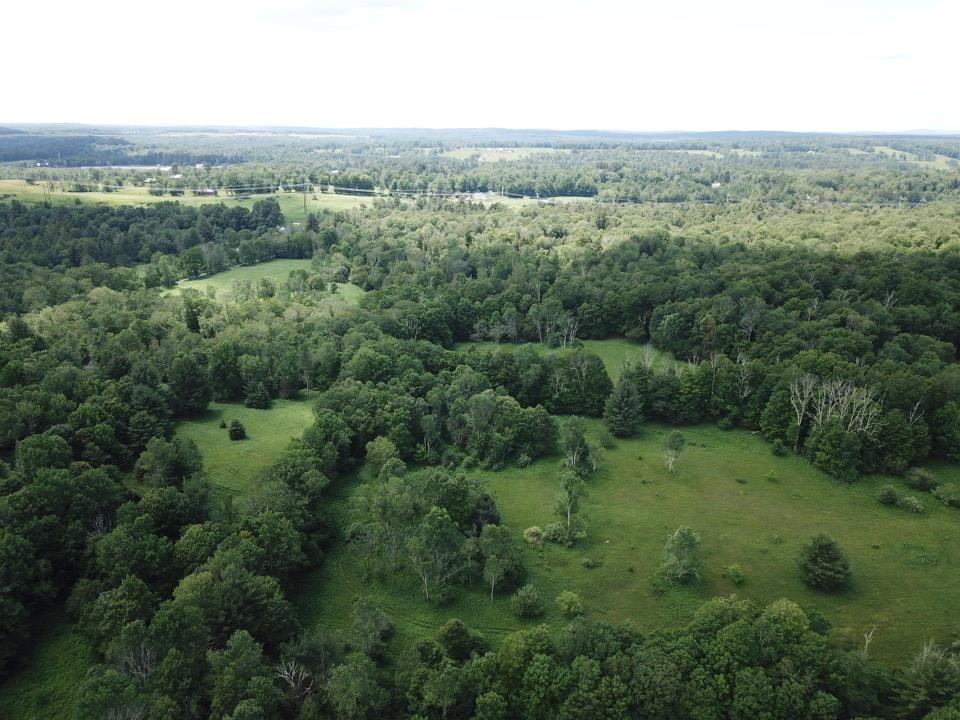 #1 photo, Bushville Road, Bethel , NY 12720