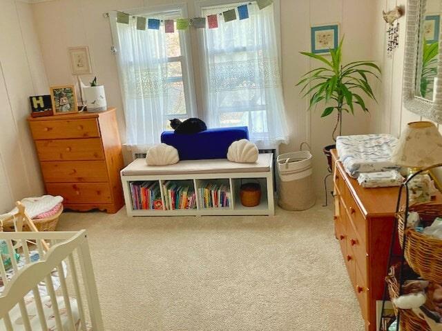 #16 photo, 37 Sackett Lake Road, 纽约州 Monticello , NY 12701