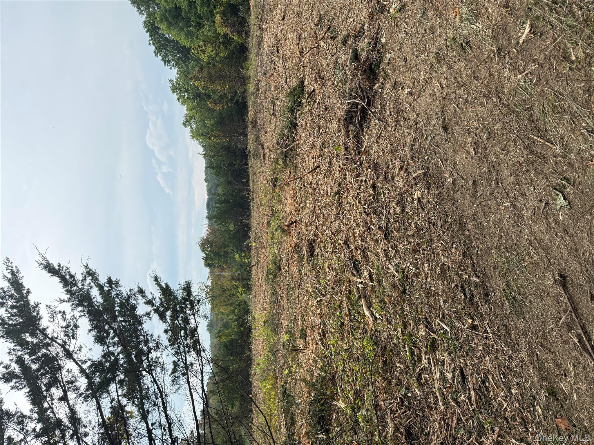 #9 photo, 493 Union Corners Road, Florida , NY 10921