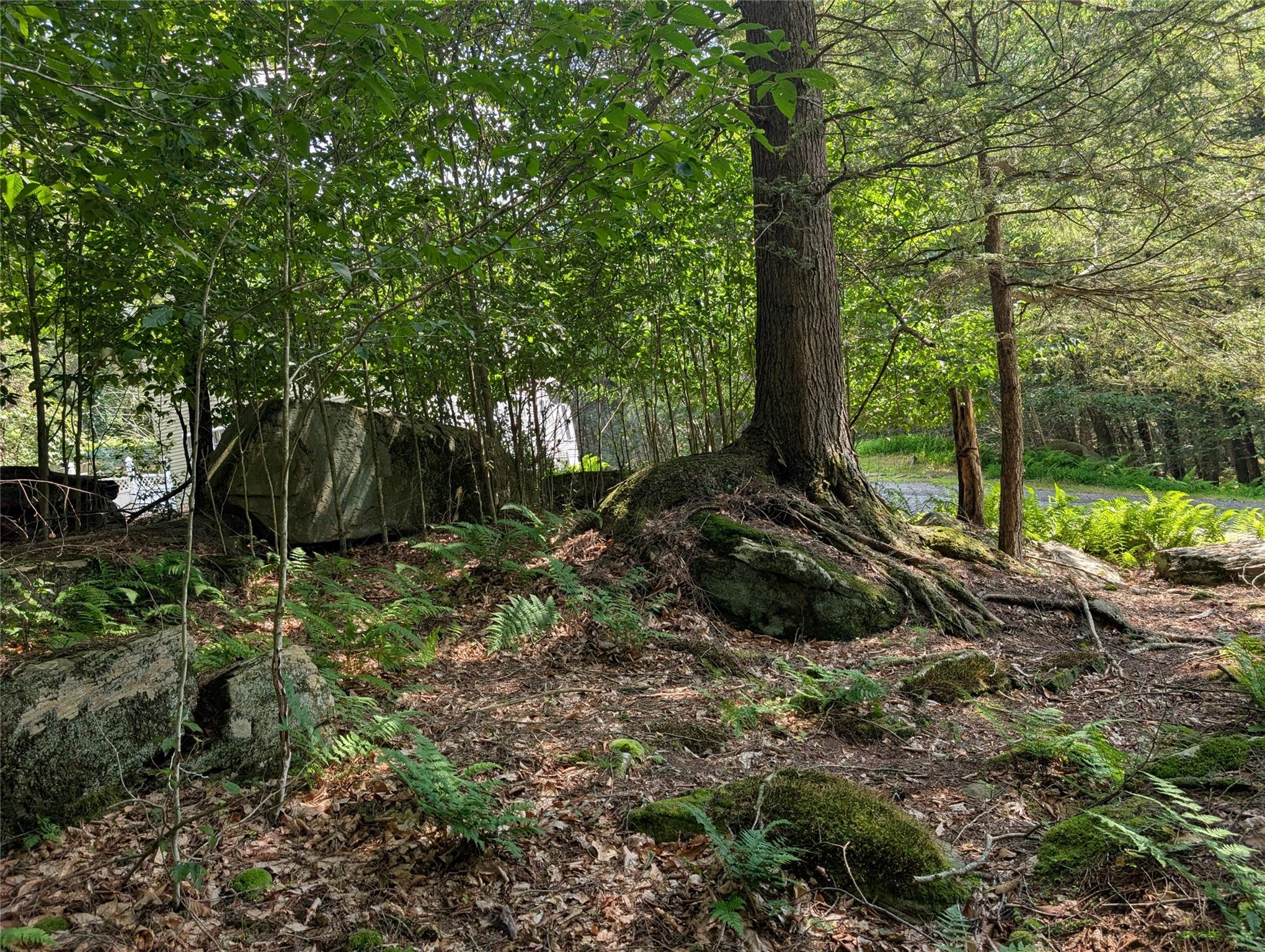 #10 photo, Andrew Lane, Bethel , NY 12720