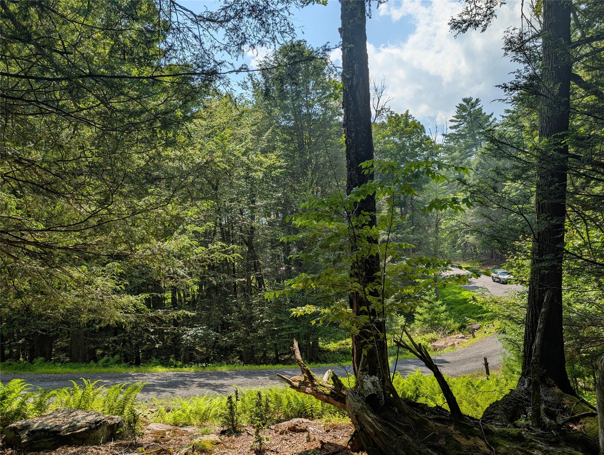 #12 photo, Andrew Lane, Bethel , NY 12720