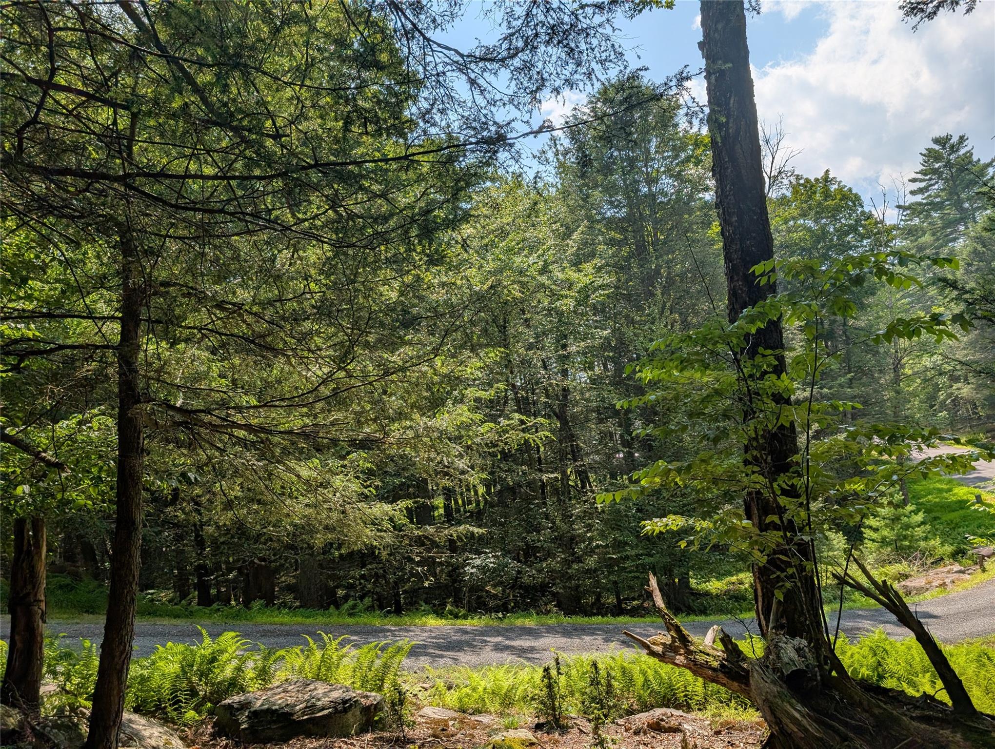 #13 photo, Andrew Lane, Bethel , NY 12720