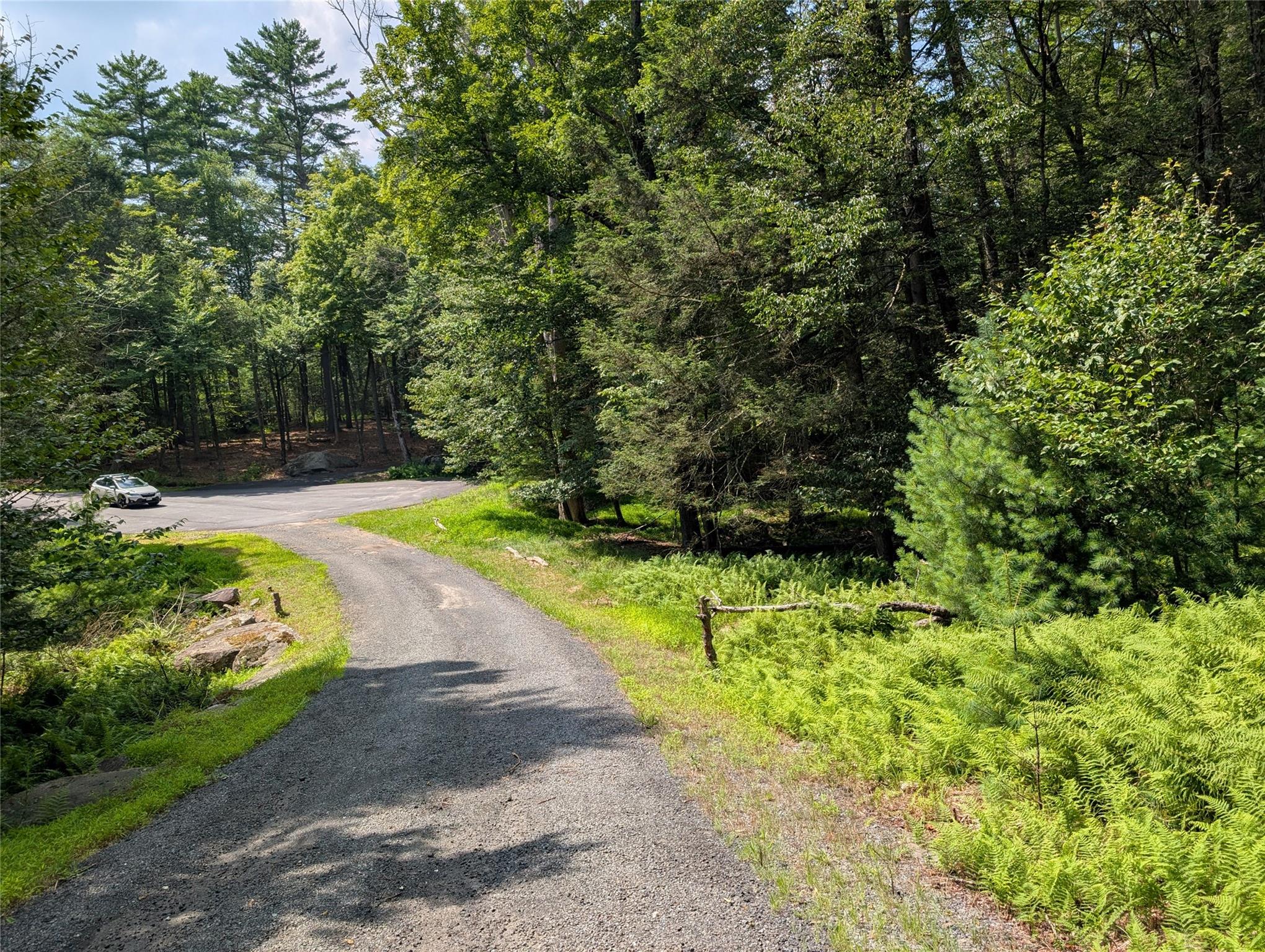 #15 photo, Andrew Lane, Bethel , NY 12720