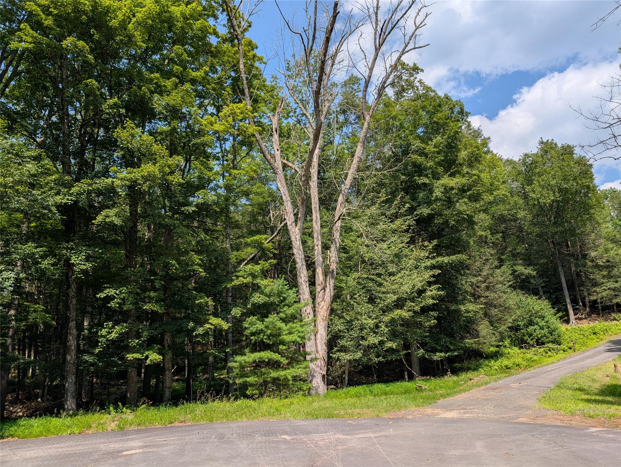 #16 photo, Andrew Lane, Bethel , NY 12720