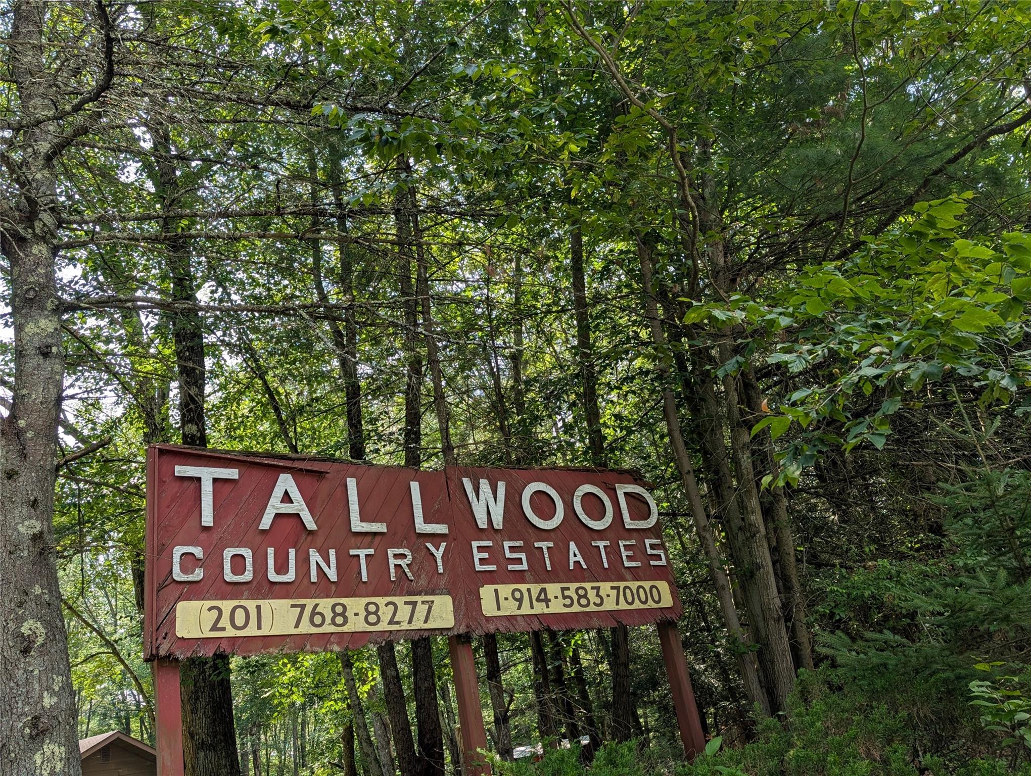 #17 photo, Andrew Lane, Bethel , NY 12720