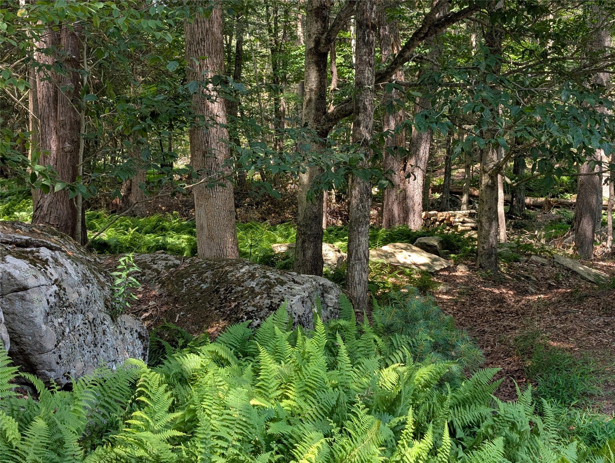 #3 photo, Andrew Lane, Bethel , NY 12720