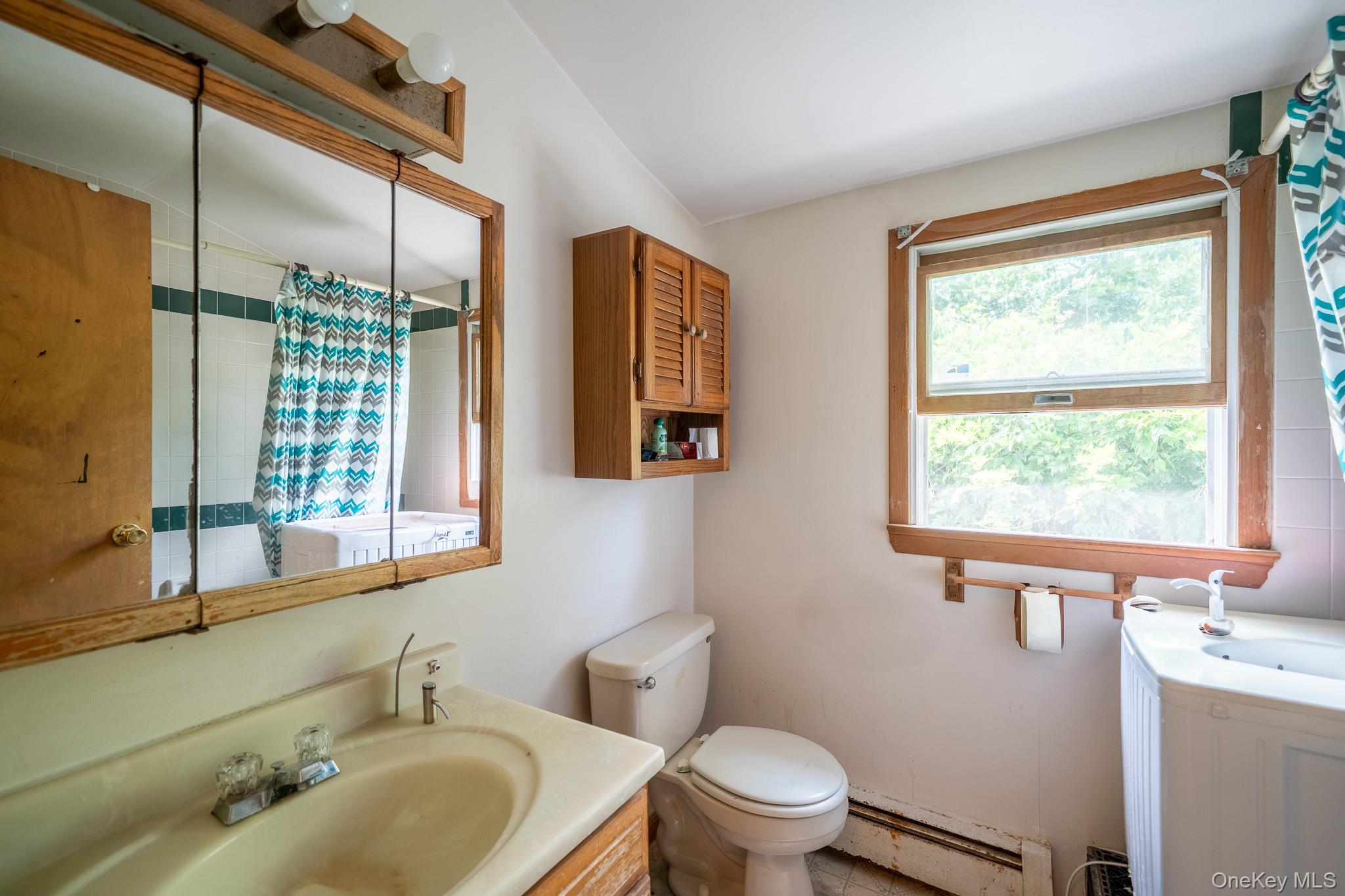 #5 photo, 14 Arcadia Drive, 東長島 Dix小山 Dix Hills , NY 11746