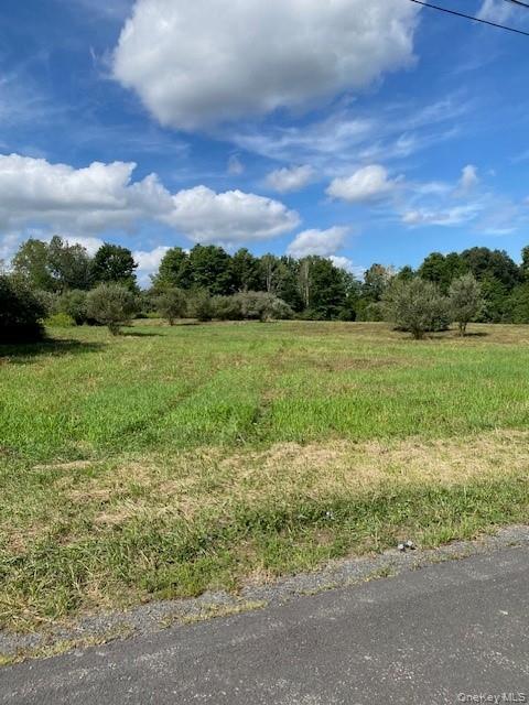 #5 photo, Lot #2 Delmar Hill Road, Slate Hill , NY 10973