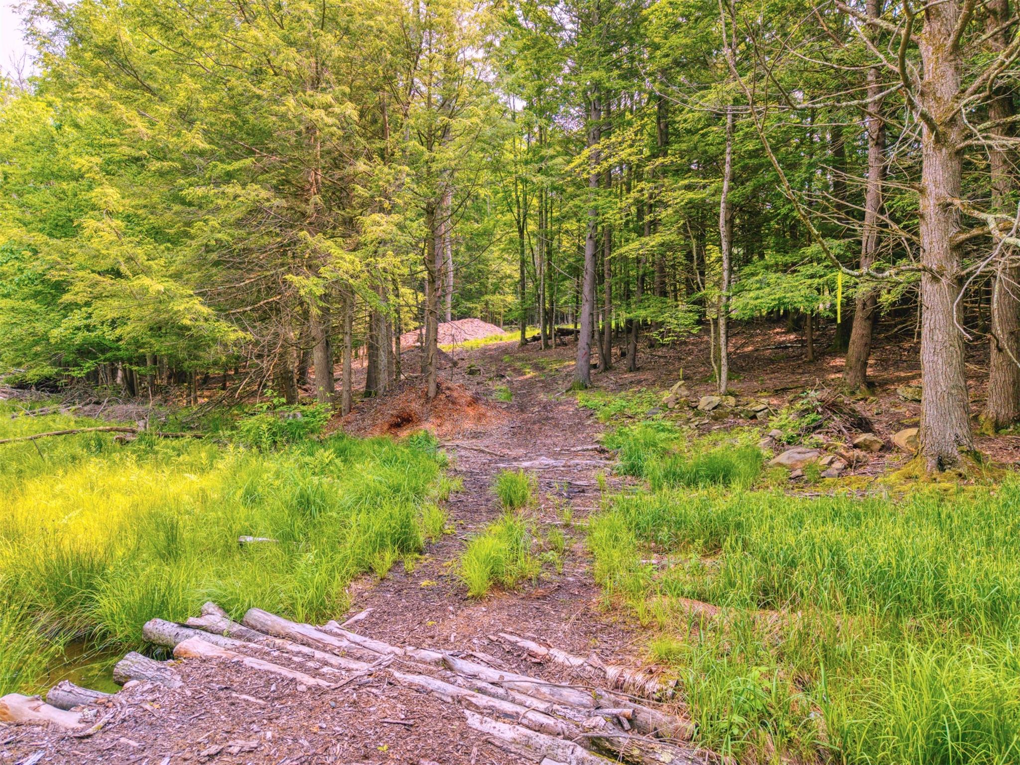 #13 photo, TBD Boulder Brook lots 33-38 Road, Windham , NY 12496
