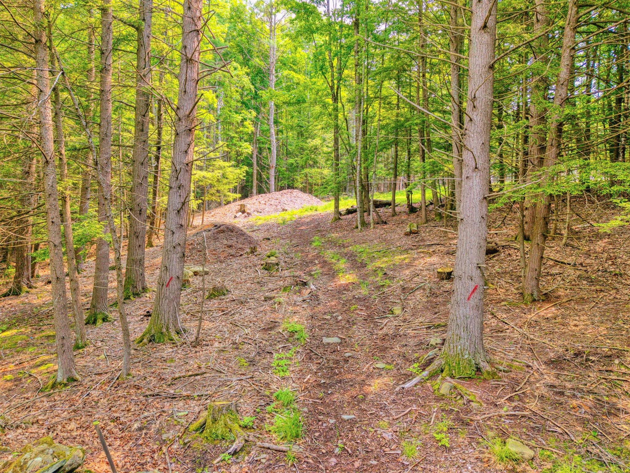 #14 photo, TBD Boulder Brook lots 33-38 Road, Windham , NY 12496