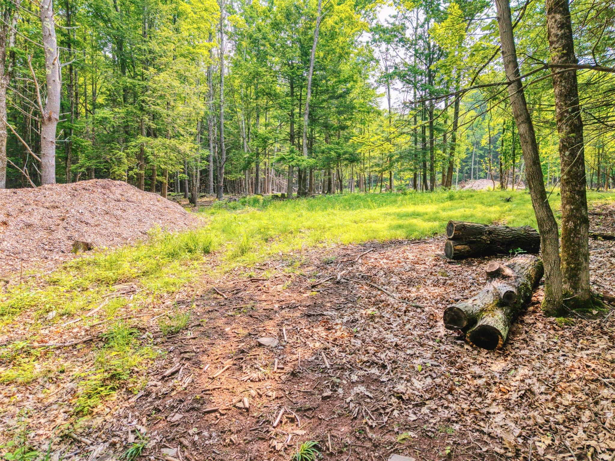 #15 photo, TBD Boulder Brook lots 33-38 Road, Windham , NY 12496