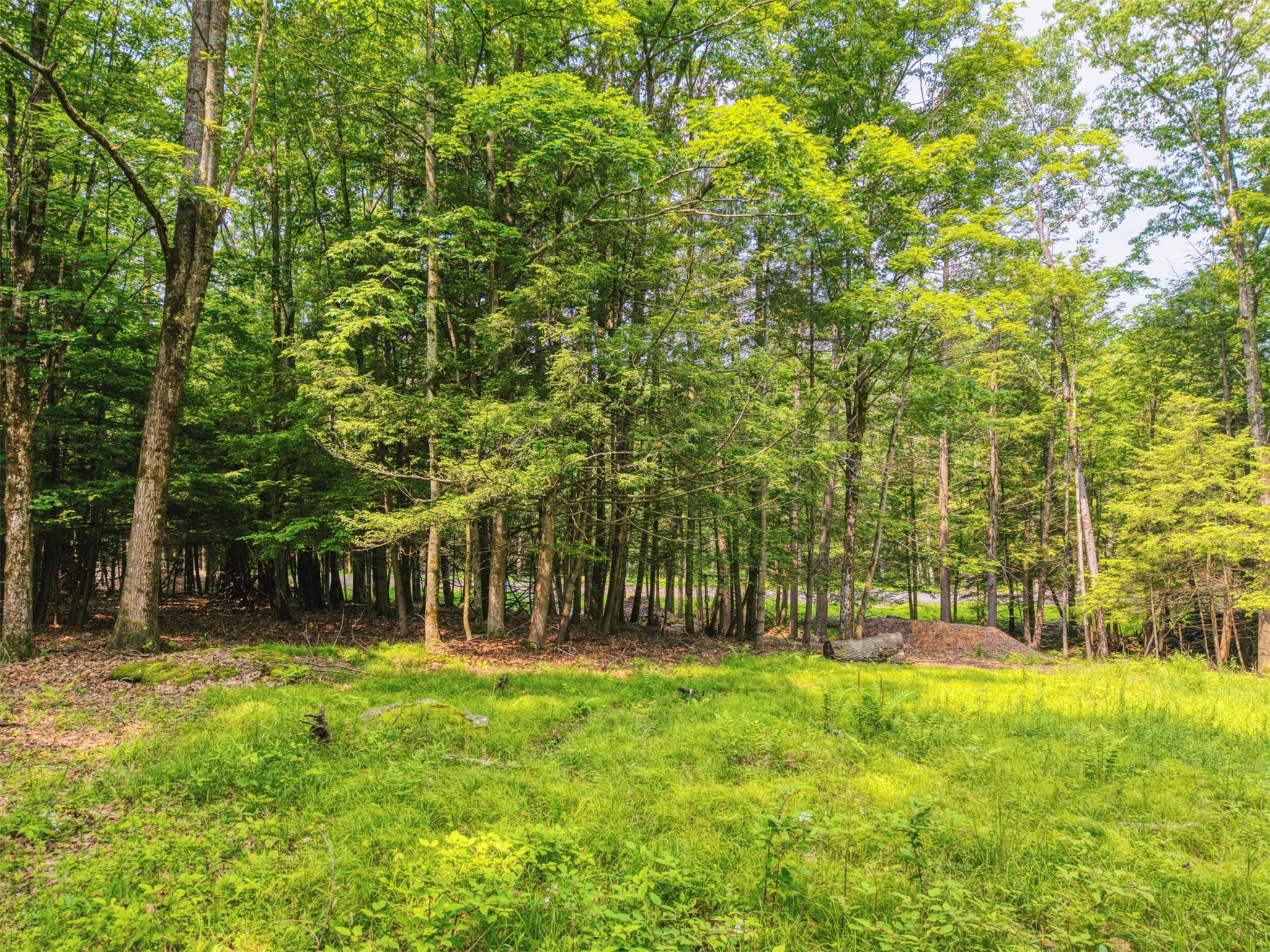 #17 photo, TBD Boulder Brook lots 33-38 Road, Windham , NY 12496