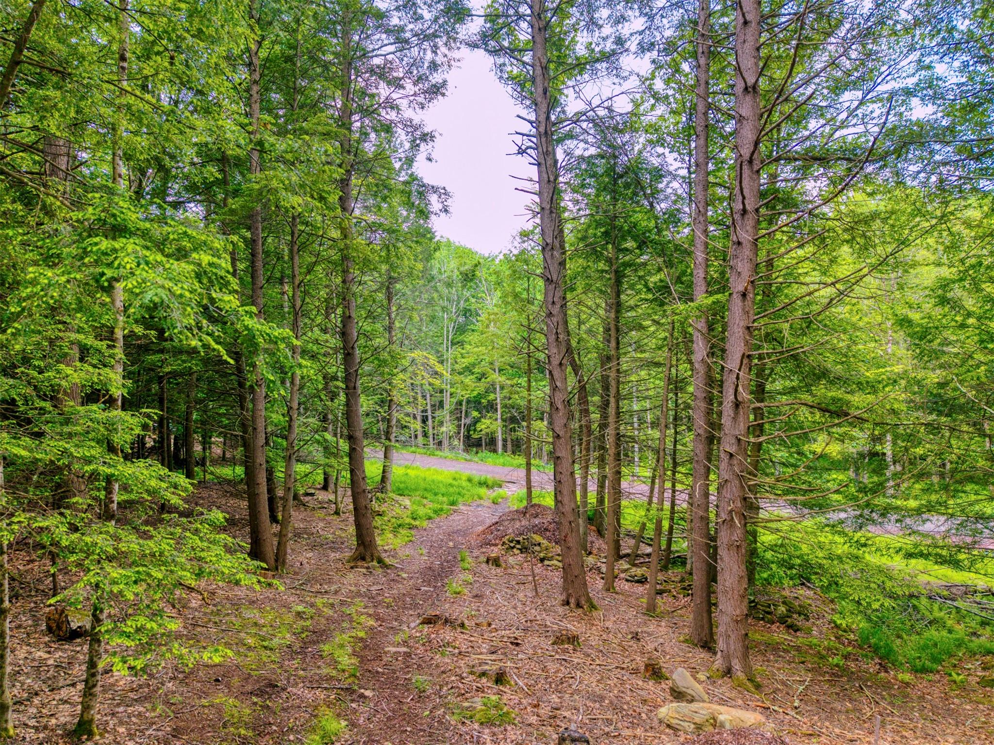 #19 photo, TBD Boulder Brook lots 33-38 Road, Windham , NY 12496