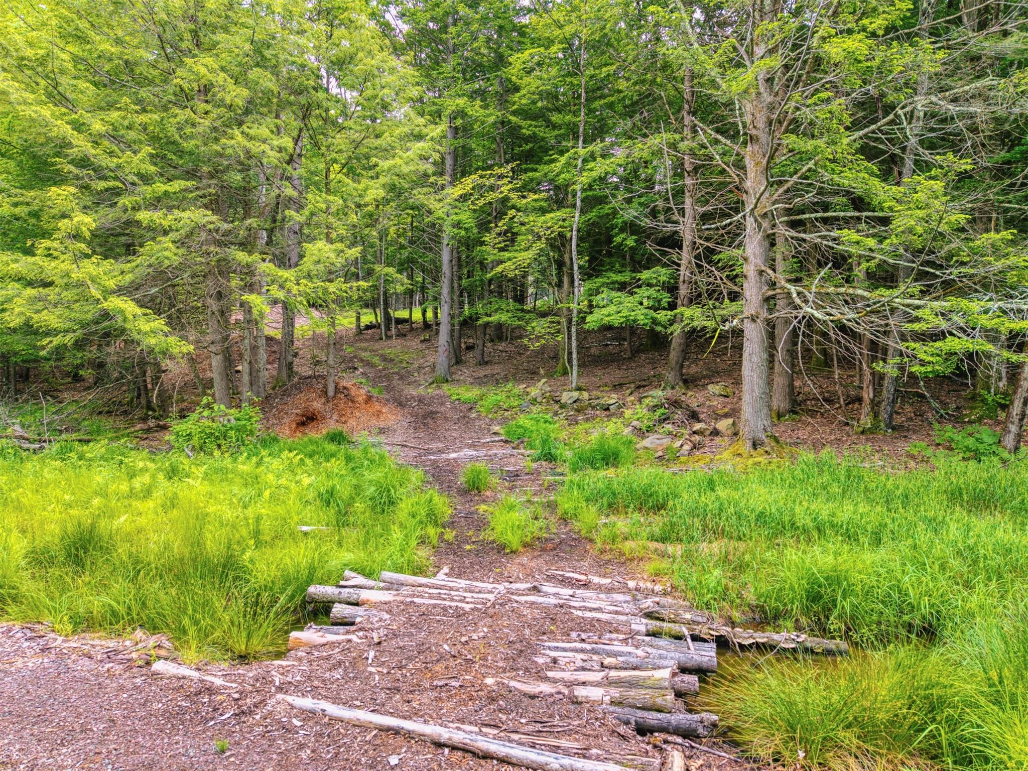 #20 photo, TBD Boulder Brook lots 33-38 Road, Windham , NY 12496