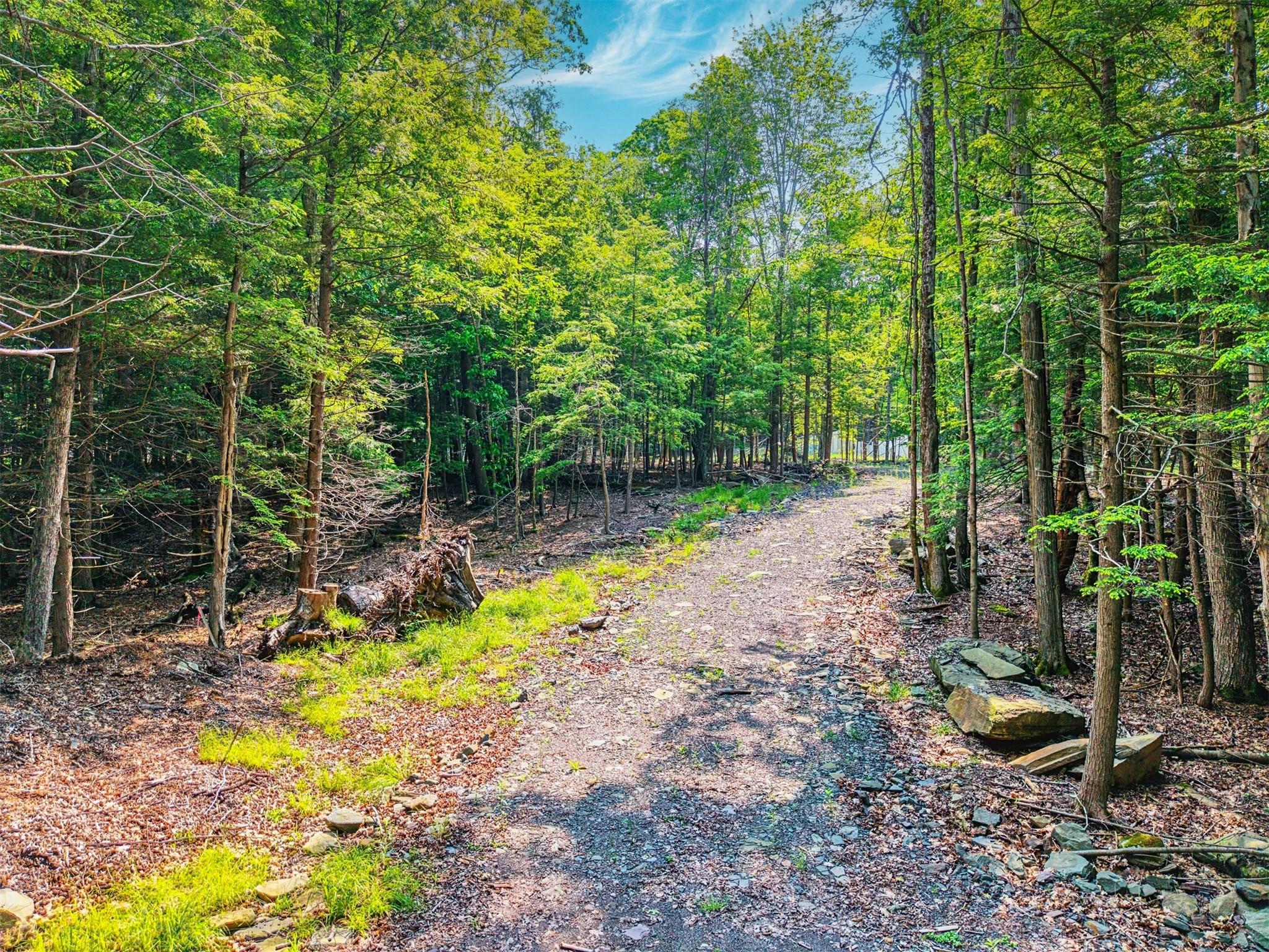 #4 photo, TBD Boulder Brook lots 33-38 Road, Windham , NY 12496