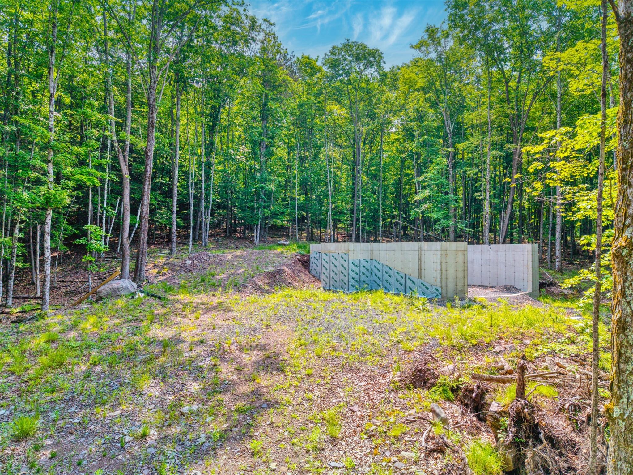 #7 photo, TBD Boulder Brook lots 33-38 Road, Windham , NY 12496