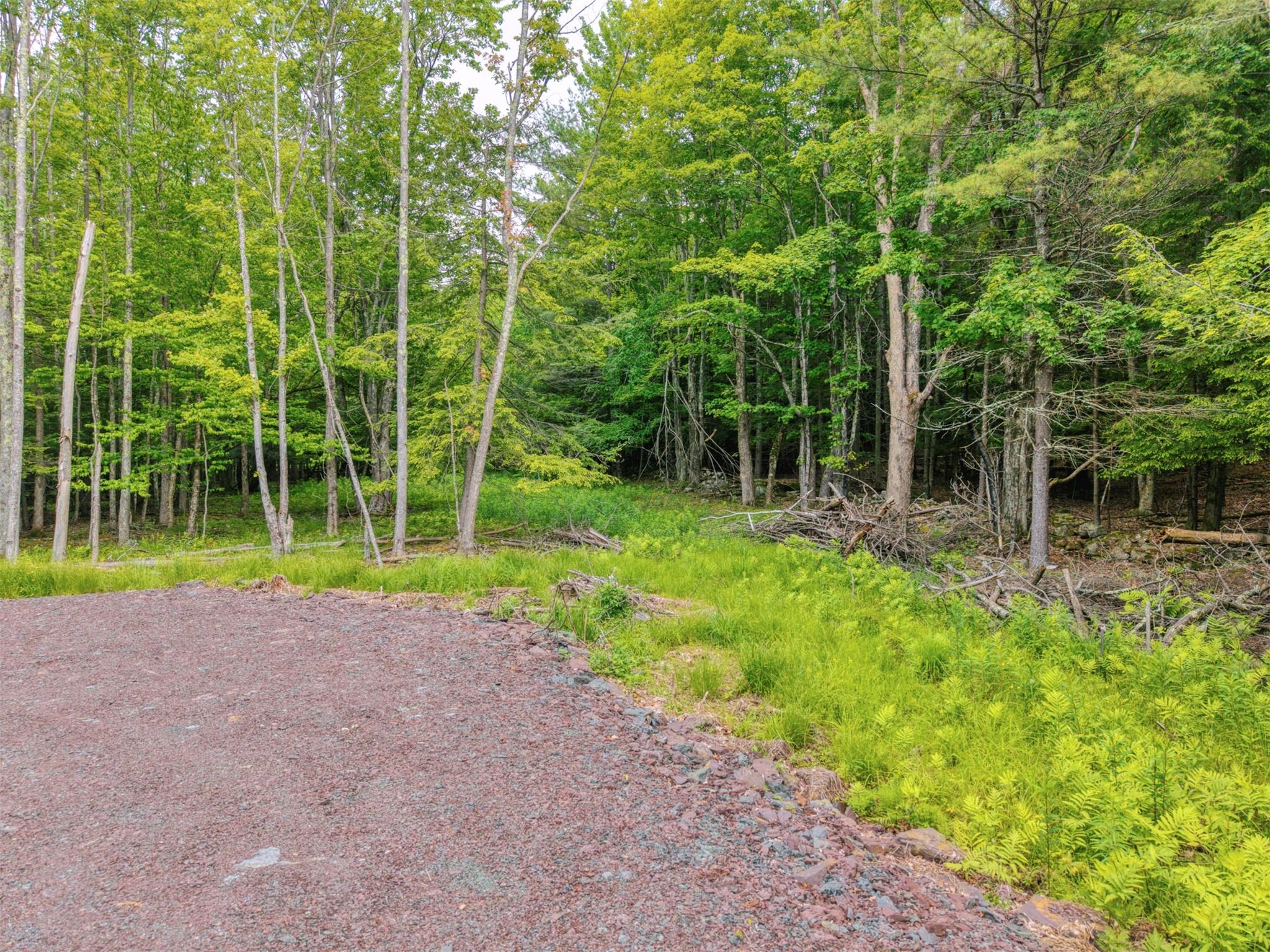 #10 photo, TBD Boulder Brook lot 13B Road, Windham , NY 12496