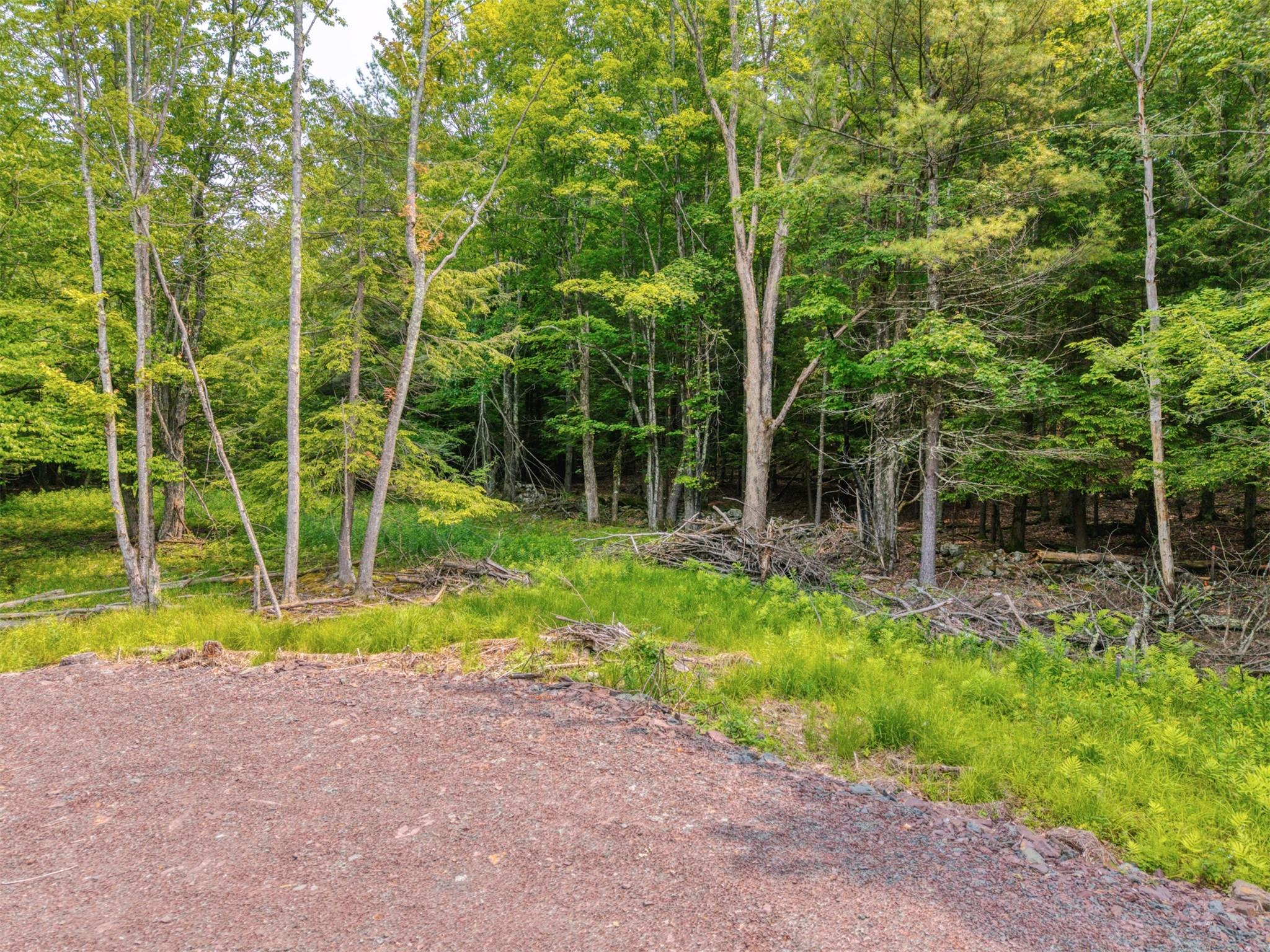 #11 photo, TBD Boulder Brook lot 13B Road, Windham , NY 12496