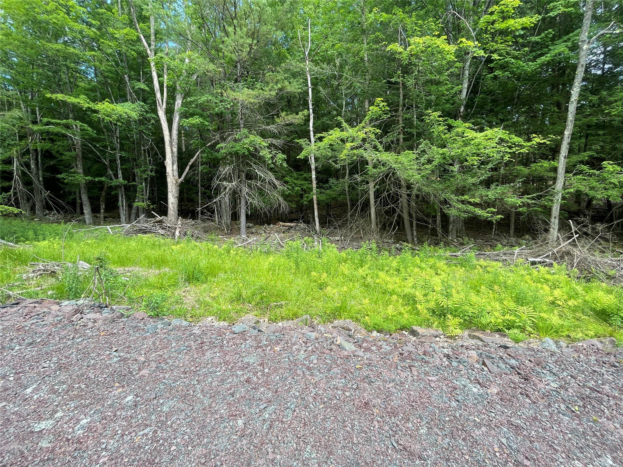 #12 photo, TBD Boulder Brook lot 13B Road, Windham , NY 12496