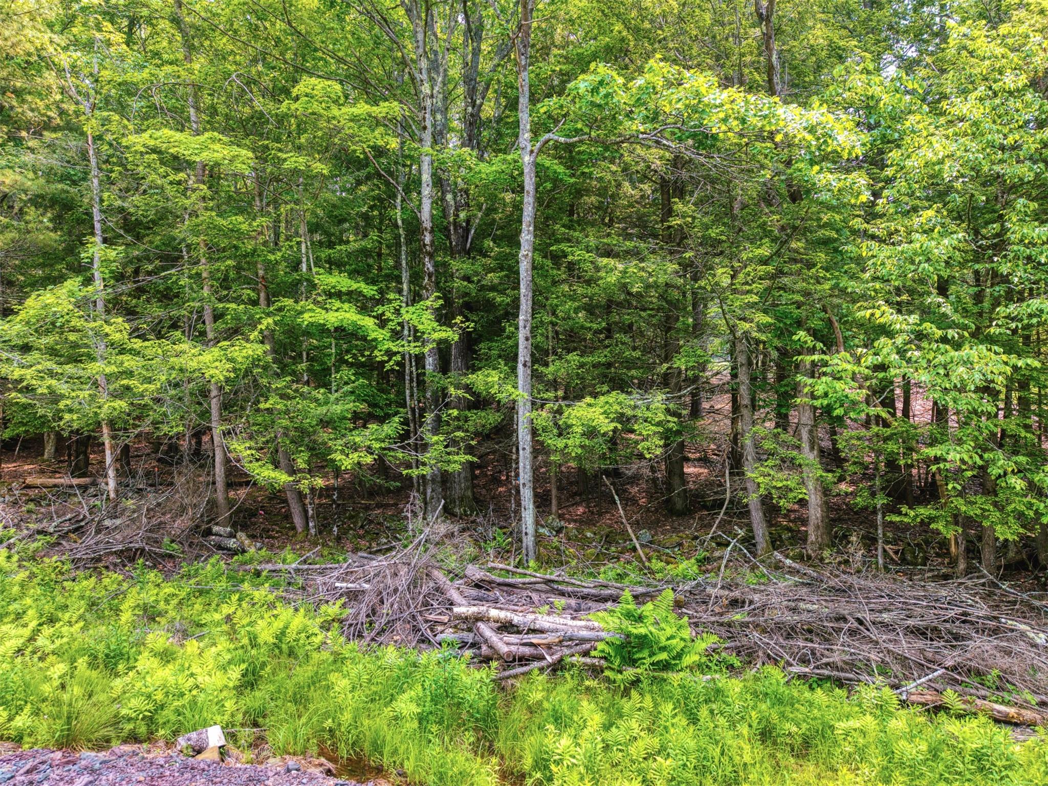 #3 photo, TBD Boulder Brook lot 13B Road, Windham , NY 12496