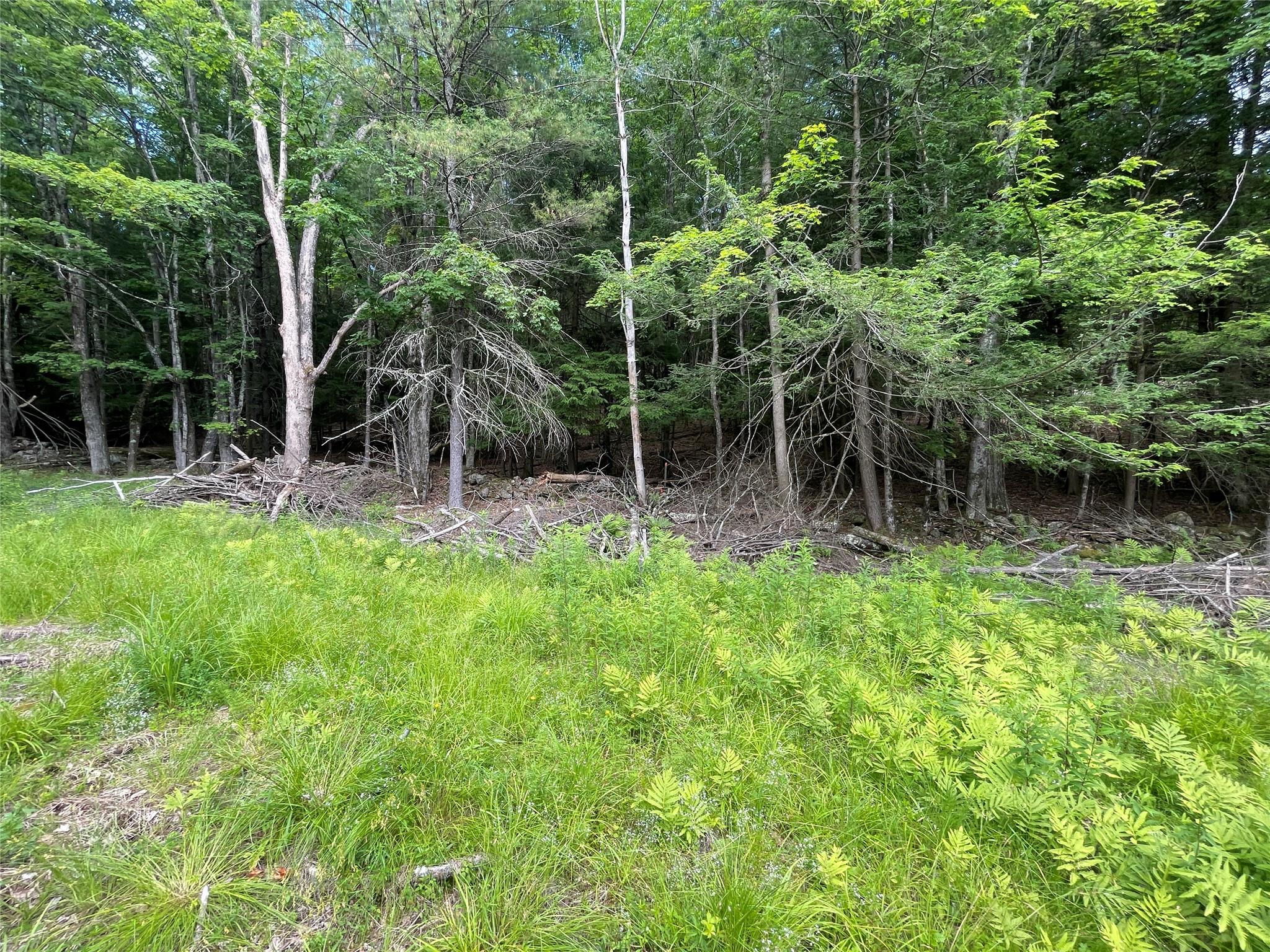 #4 photo, TBD Boulder Brook lot 13B Road, Windham , NY 12496