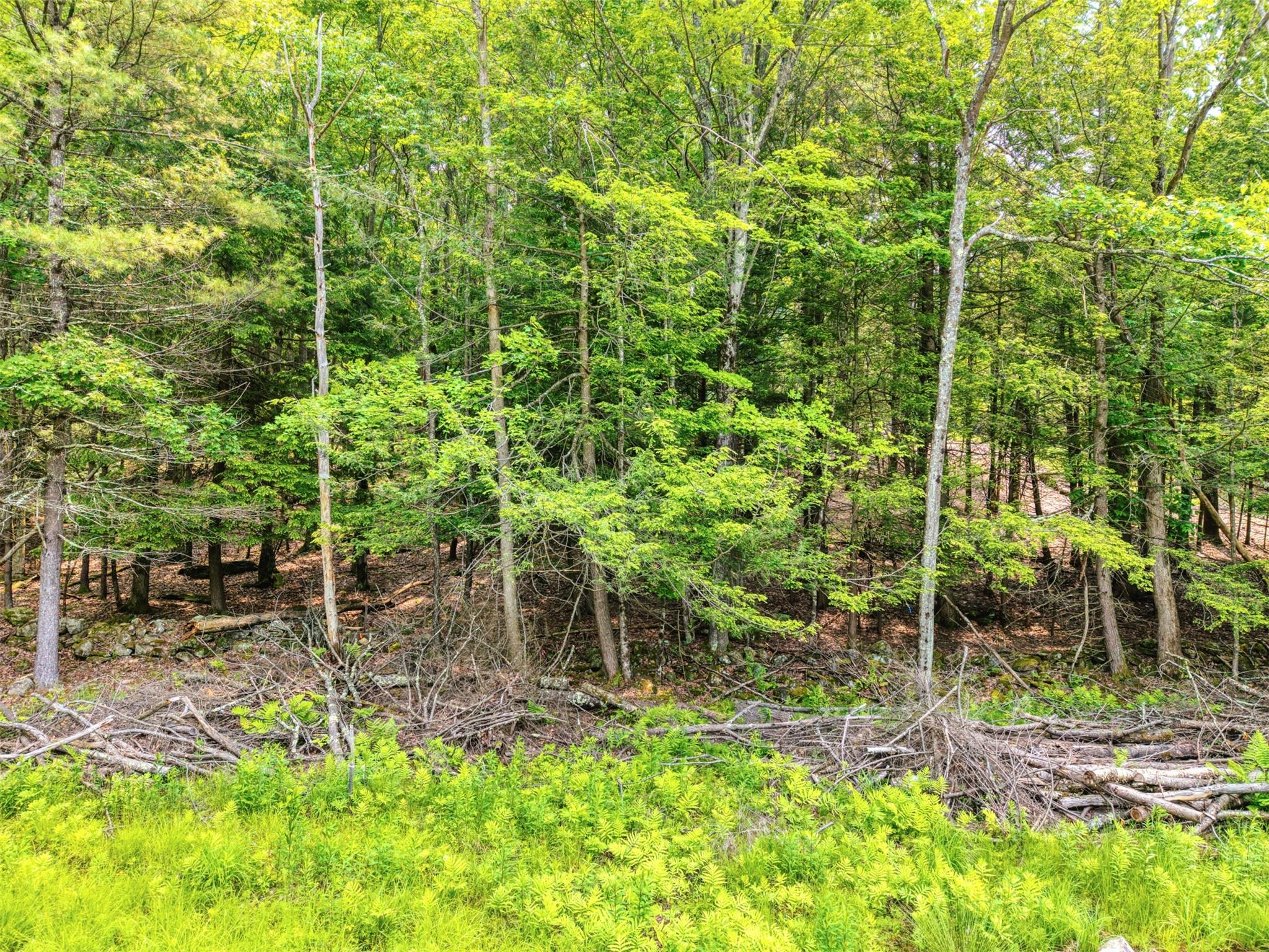 #7 photo, TBD Boulder Brook lot 13B Road, Windham , NY 12496