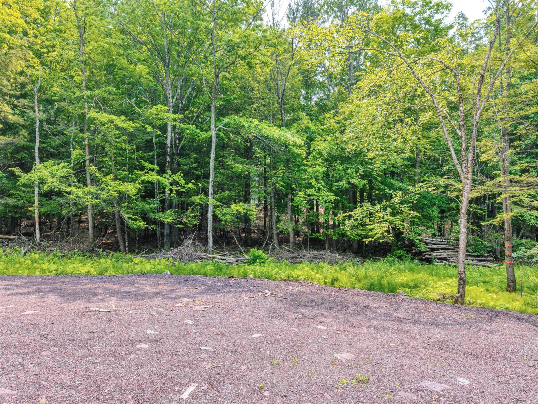 #8 photo, TBD Boulder Brook lot 13B Road, Windham , NY 12496