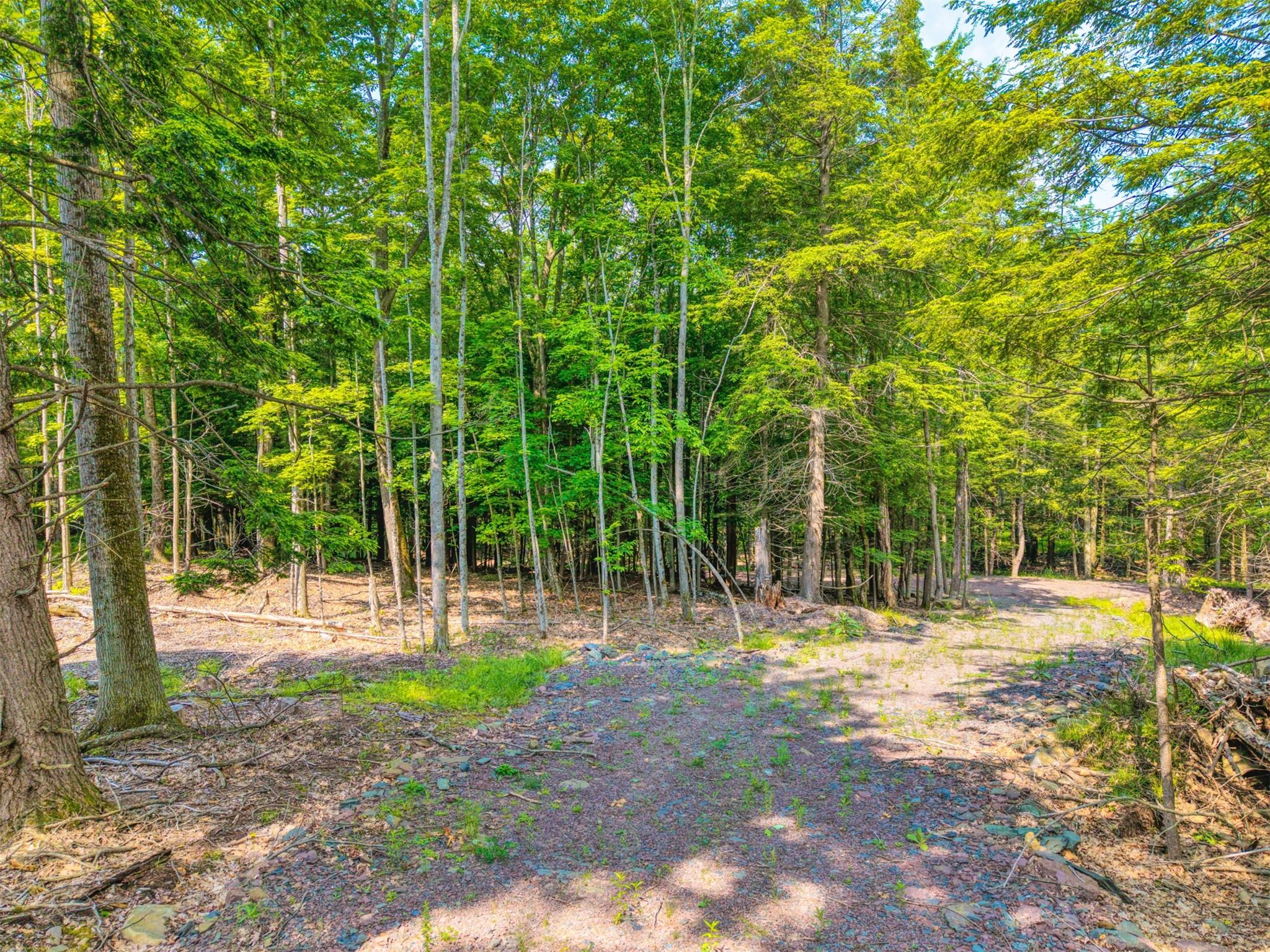 #12 photo, TBD Boulder Brook lot B10 Road, Windham , NY 12496