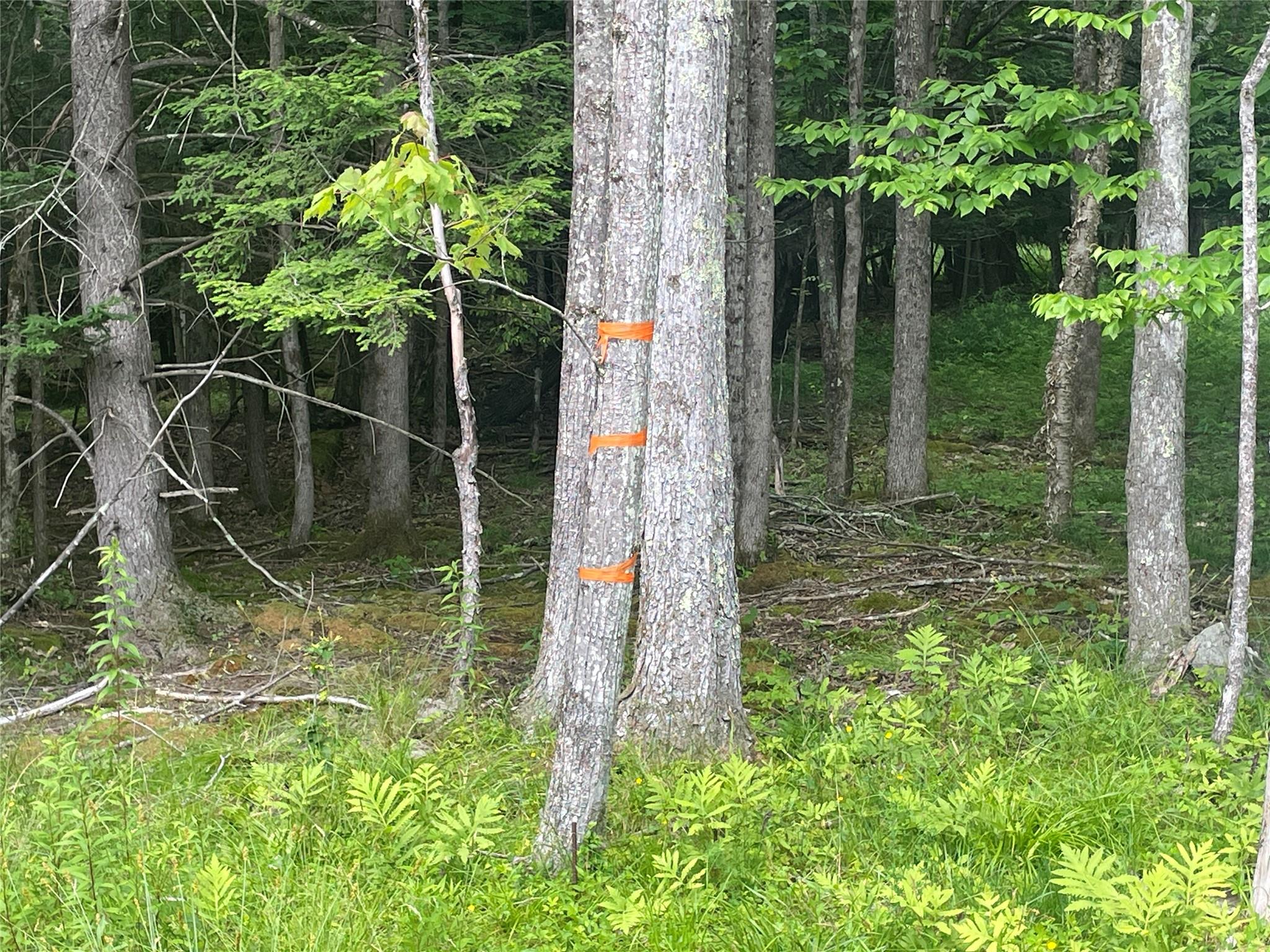 #4 photo, TBD Boulder Brook lot B10 Road, Windham , NY 12496