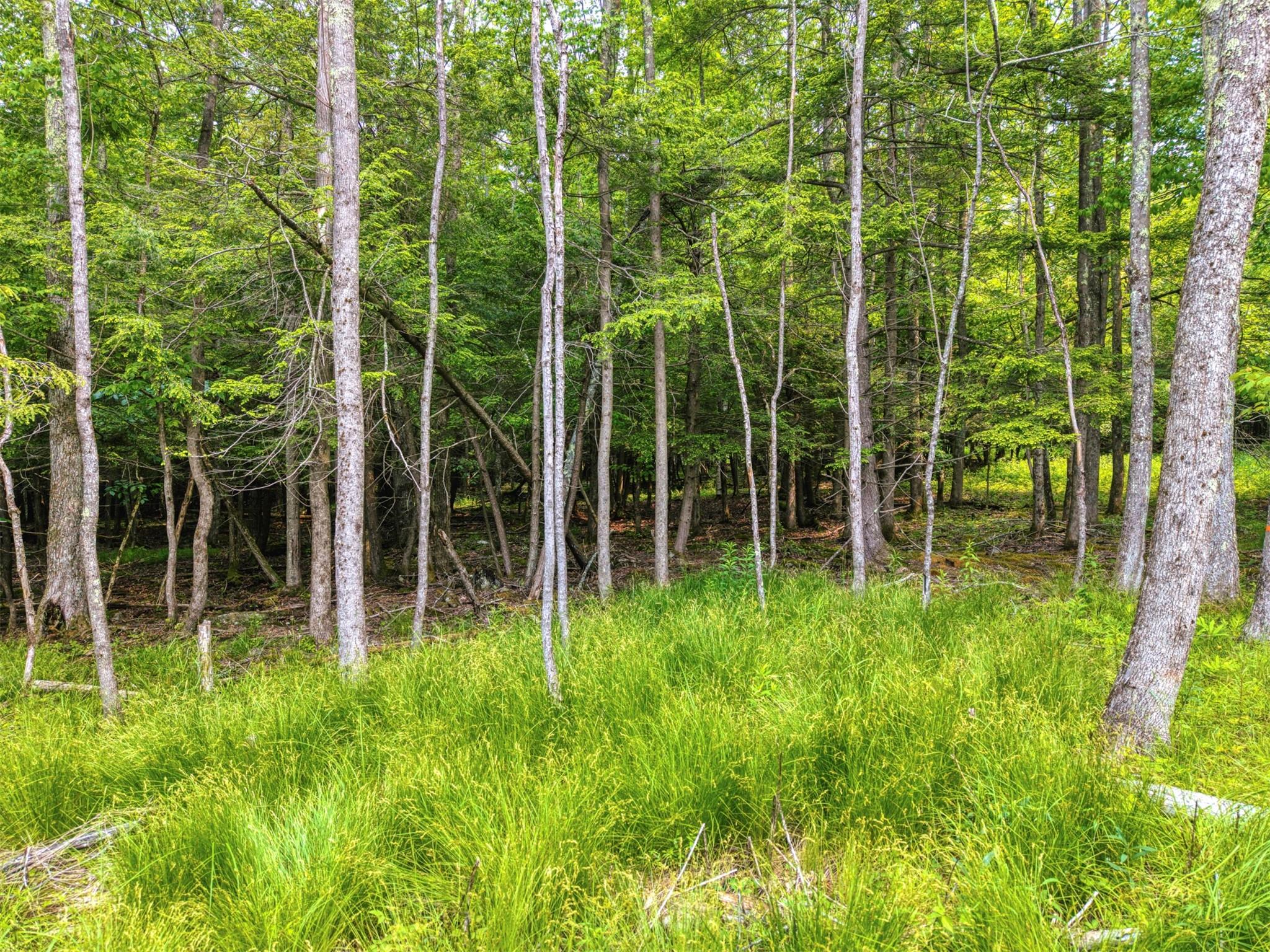 #6 photo, TBD Boulder Brook lot B10 Road, Windham , NY 12496