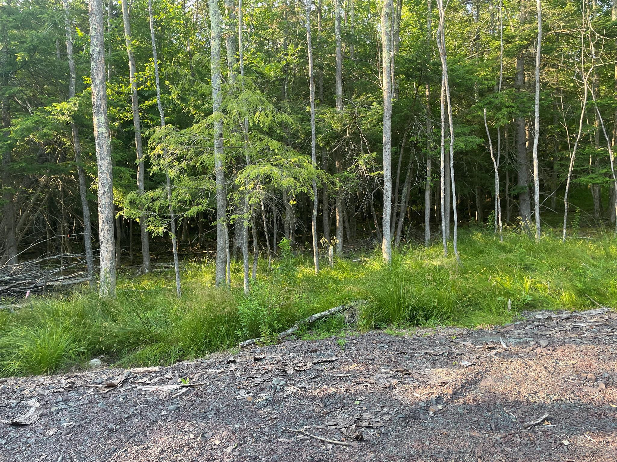 #9 photo, TBD Boulder Brook lot B10 Road, Windham , NY 12496