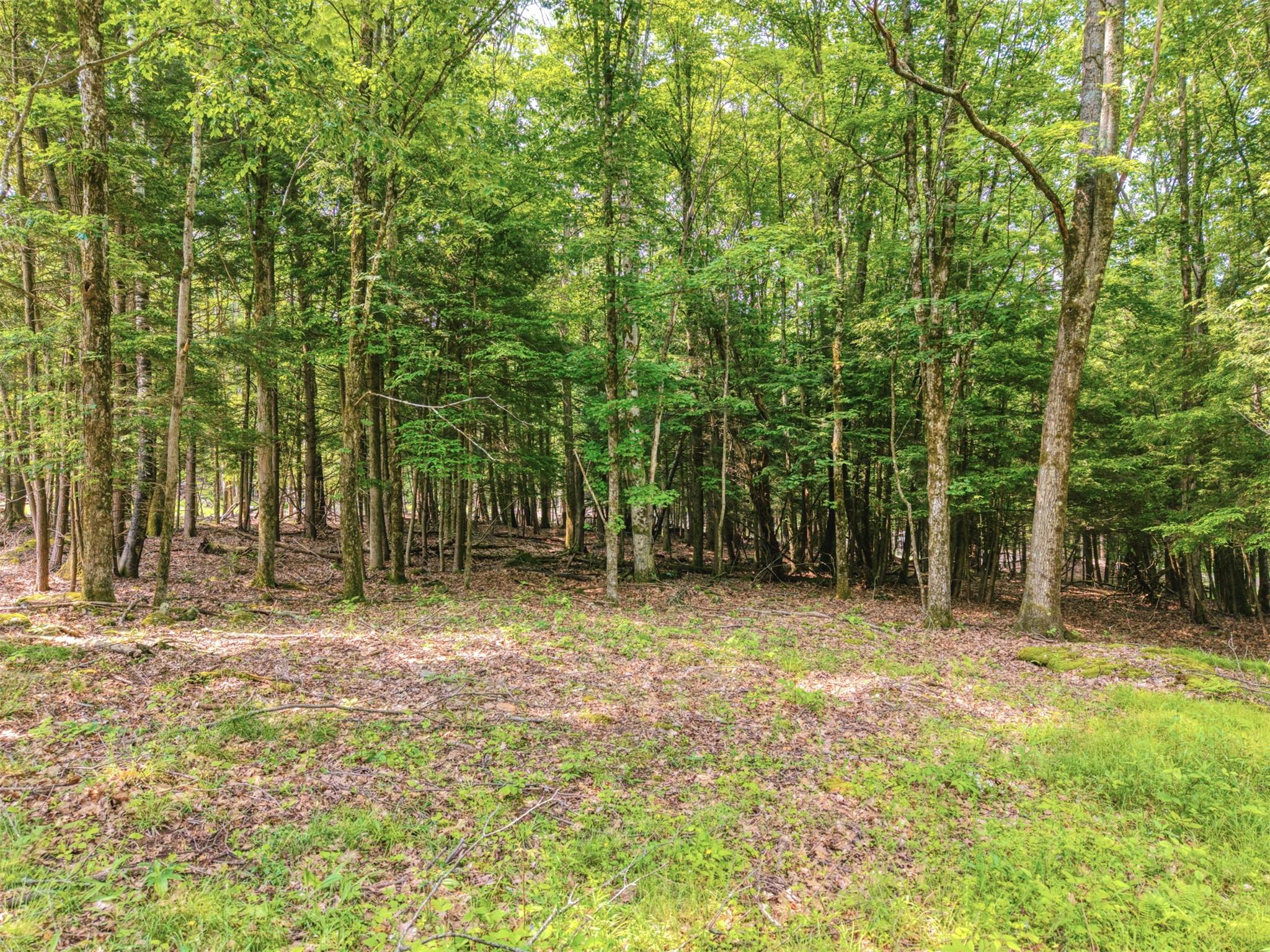#11 photo, TBD Boulder Brook lot B12 Road, Windham , NY 12496