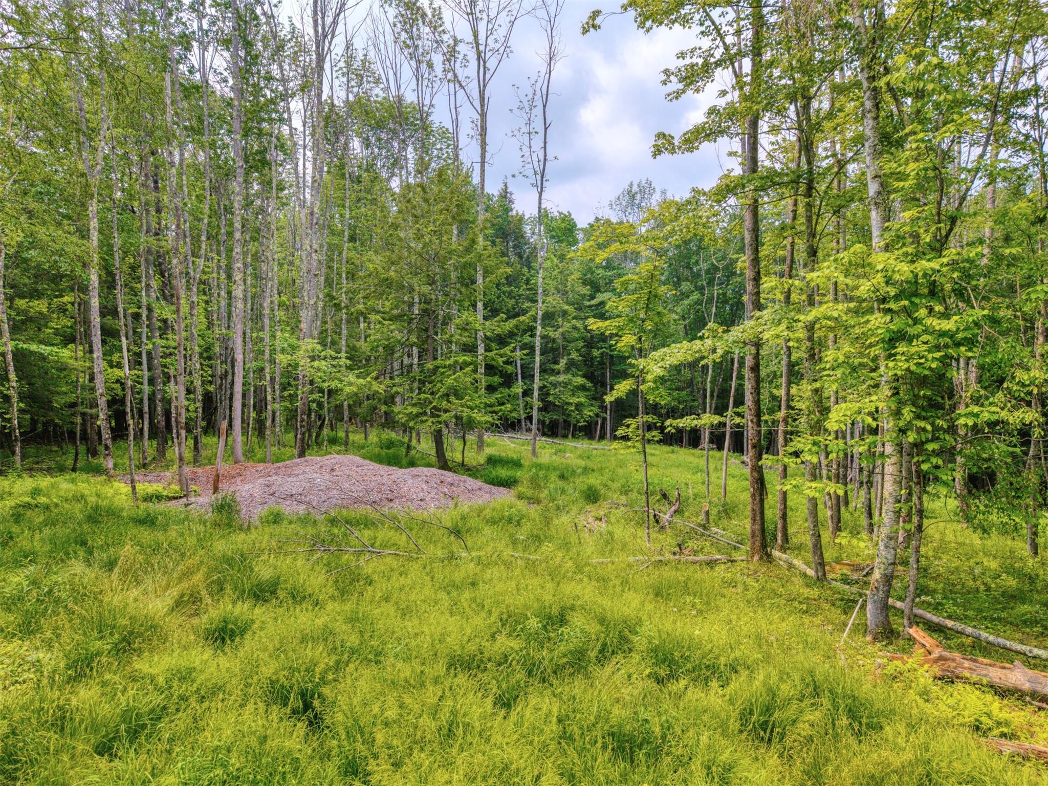 #12 photo, TBD Boulder Brook lot B12 Road, Windham , NY 12496