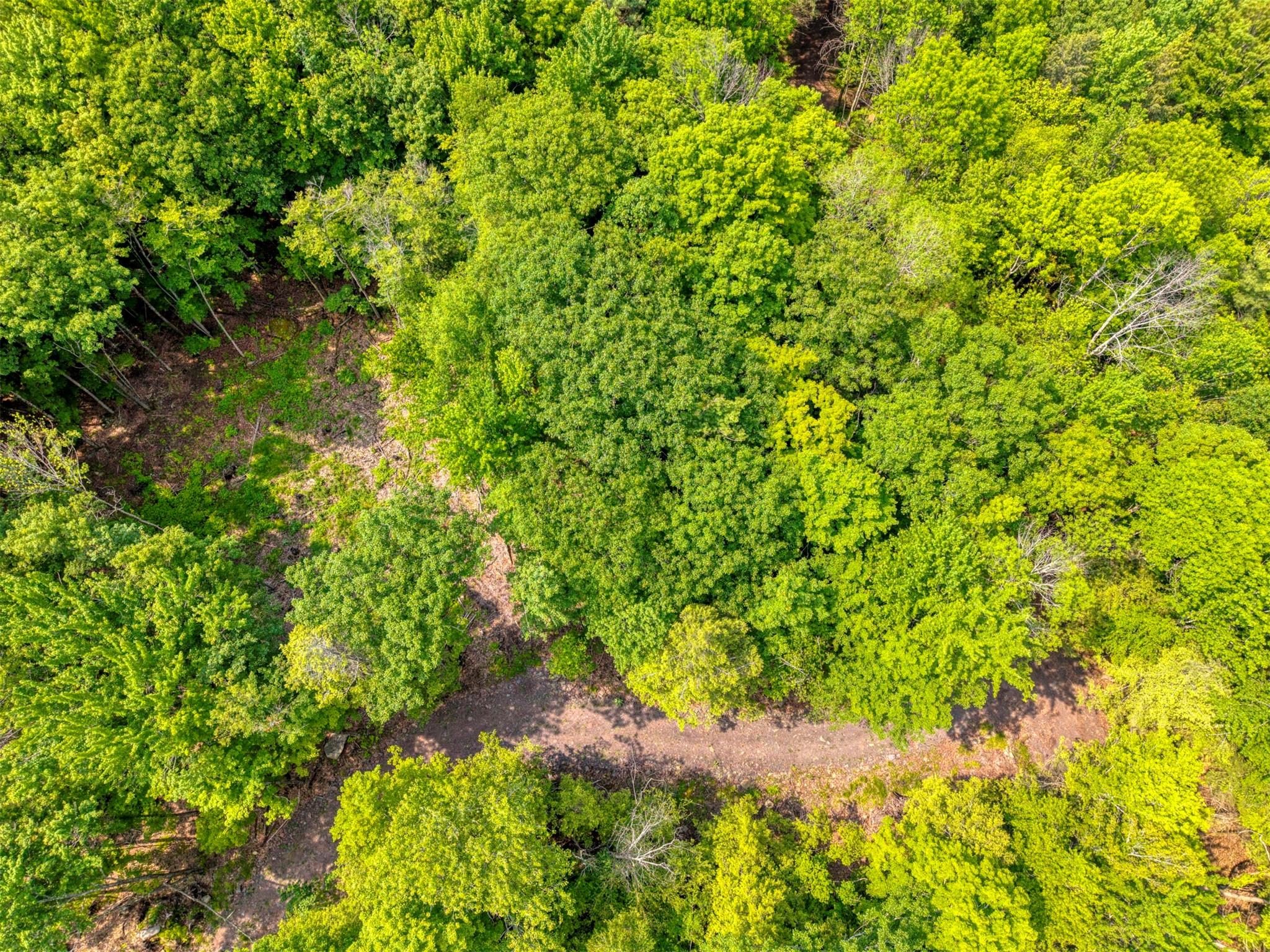 #19 photo, TBD Boulder Brook lot B12 Road, Windham , NY 12496